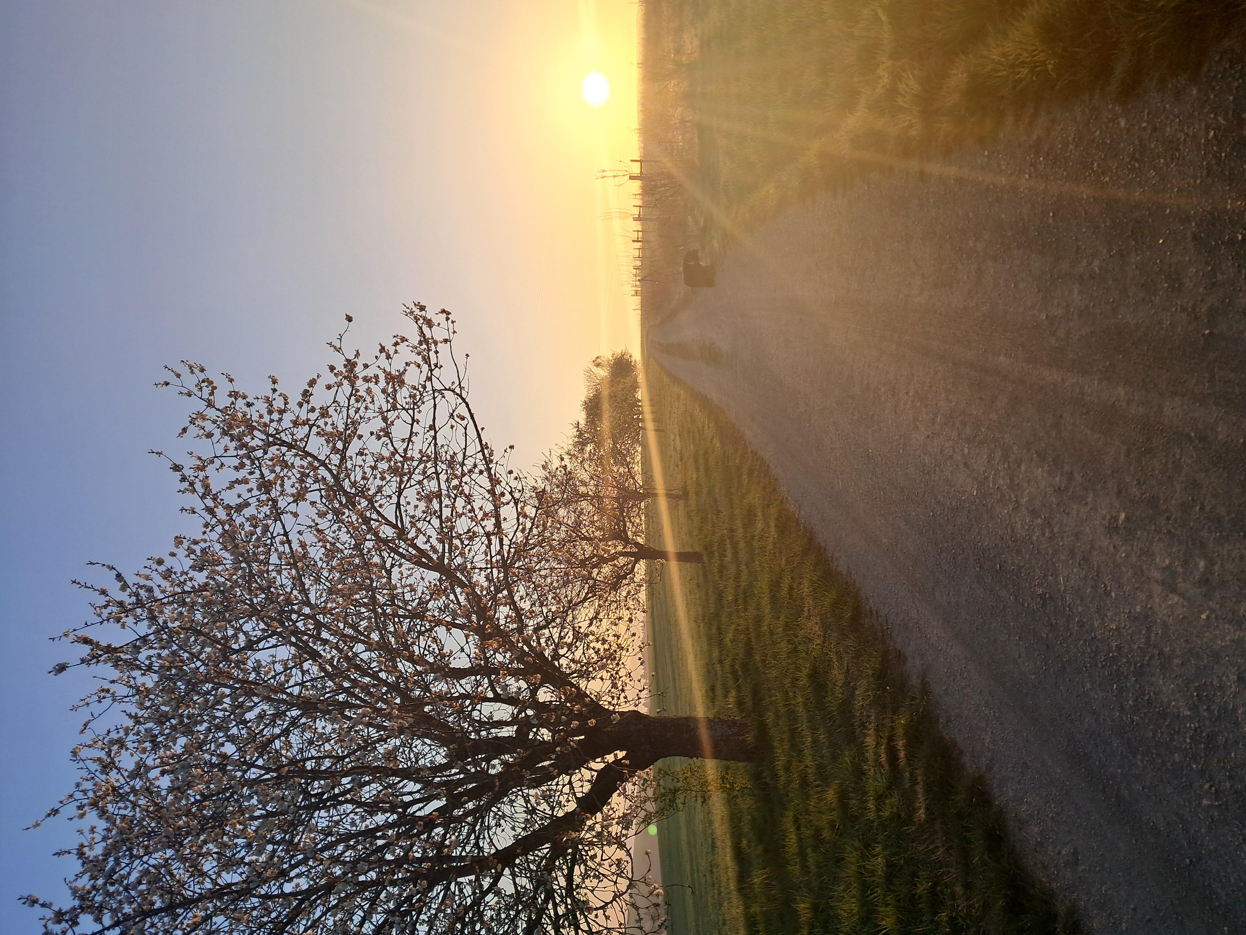 Gusterather Morgenstimmung im Frühling