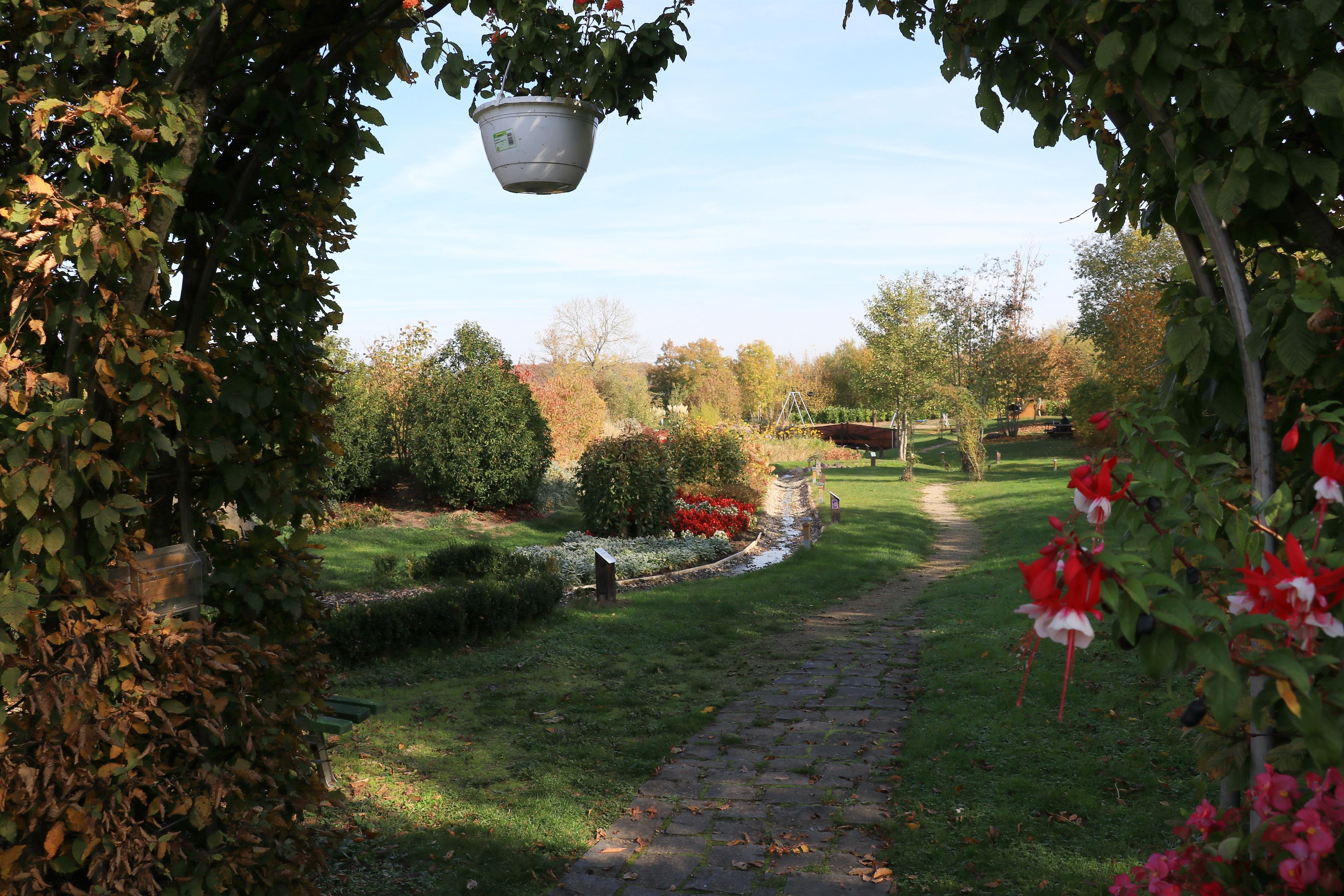 Lebensfluss in Fisch (02)