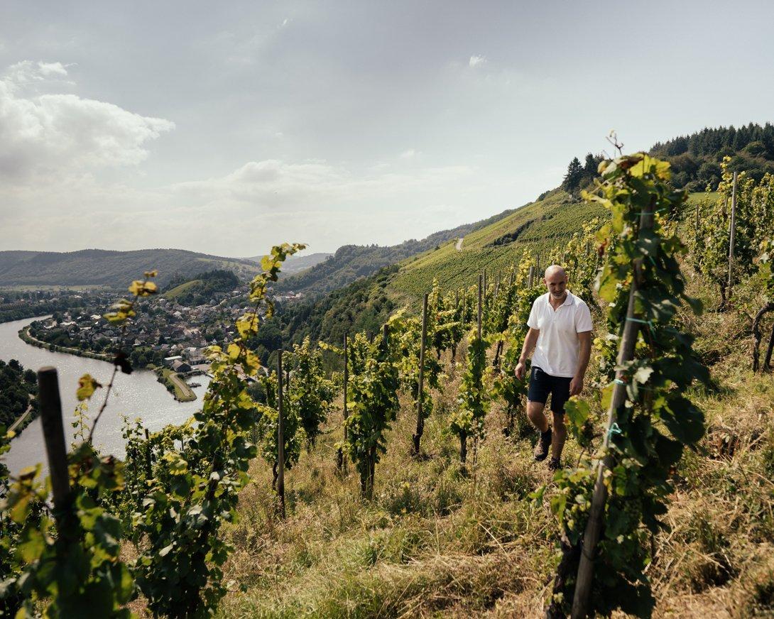 Weingut Peter Lauer Ayl (06)