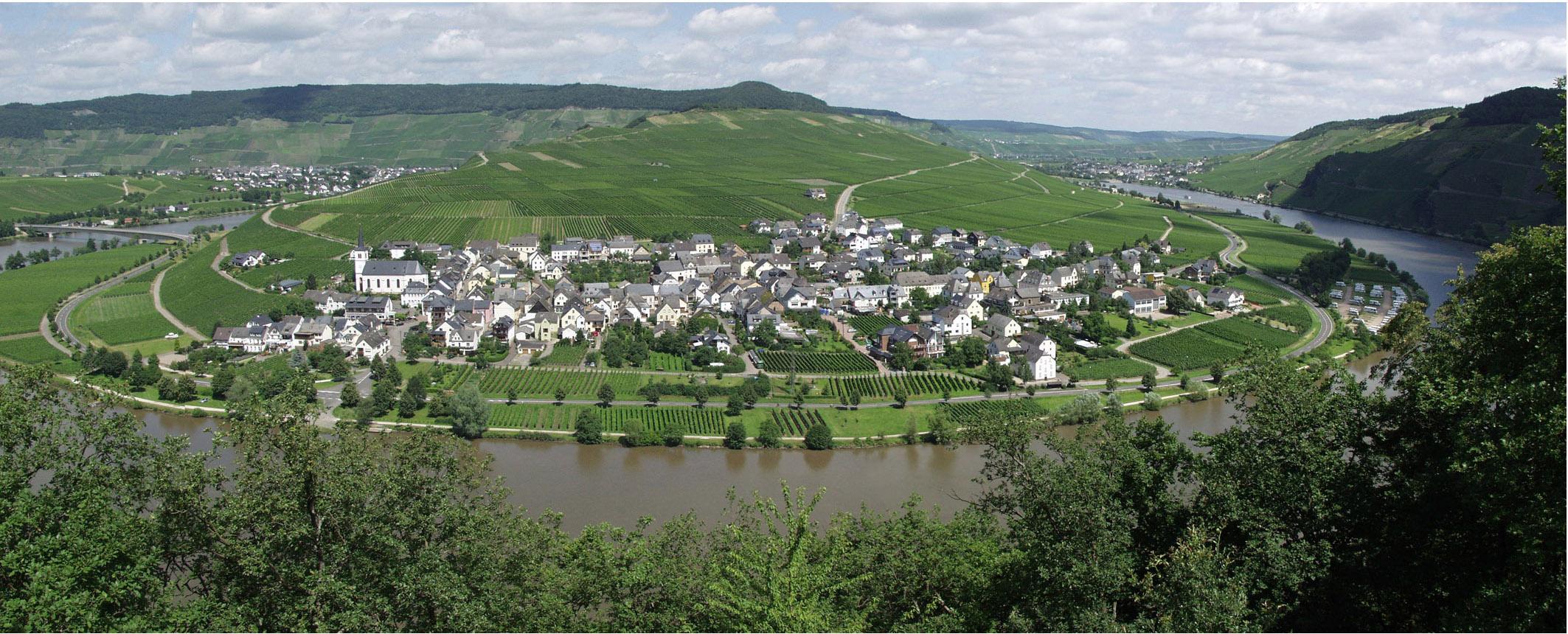 Panorama_1