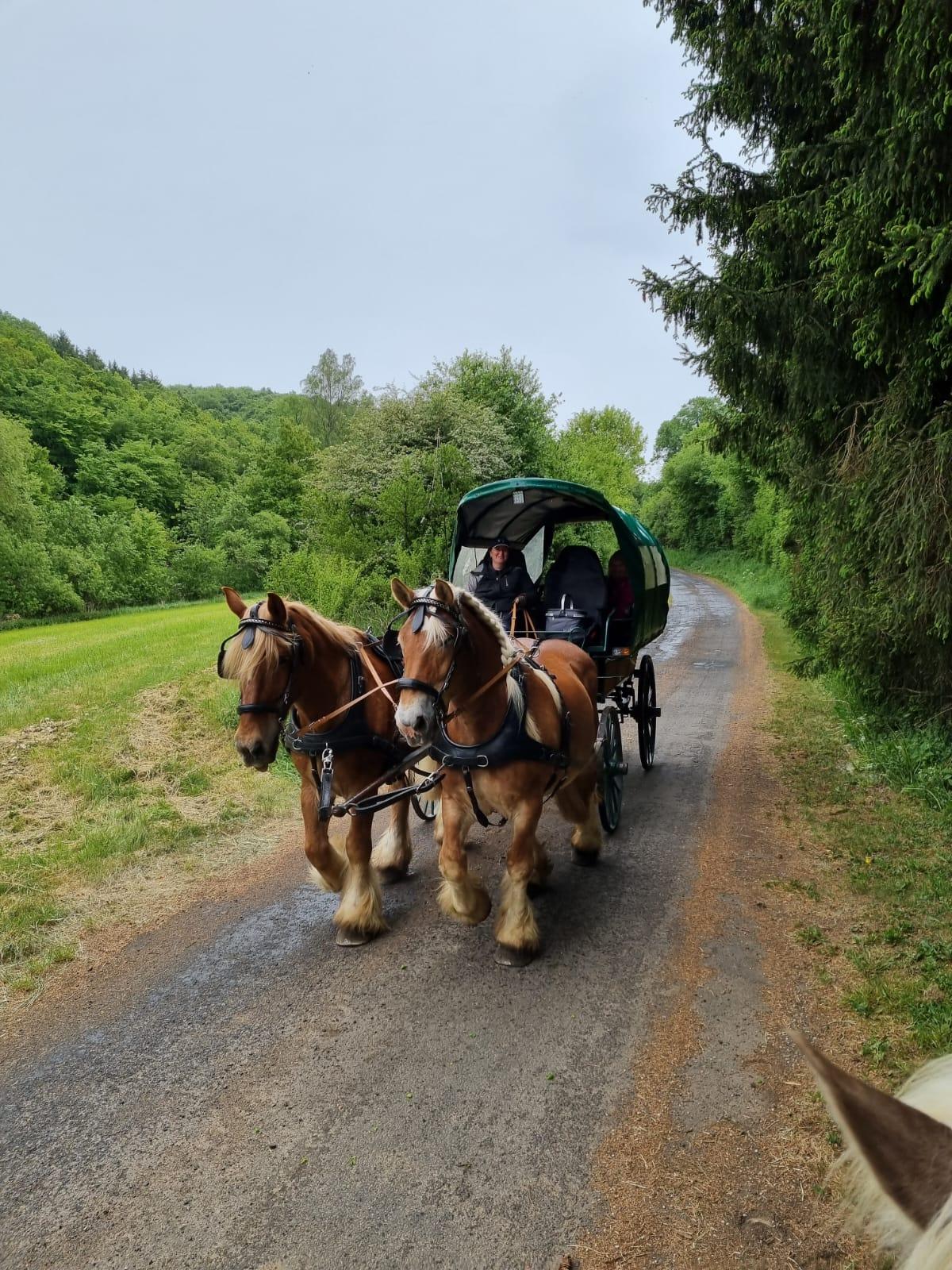 Planwagen