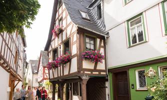 Discover Diez - Lively, competent, humorous