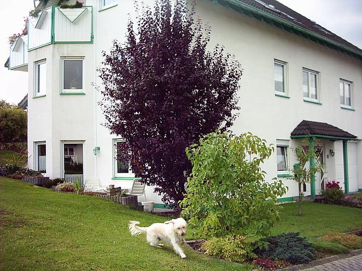 Ferienwohnung Marita 2-Bett-Wohnung Ferienwohnung  Rheinland Pfalz