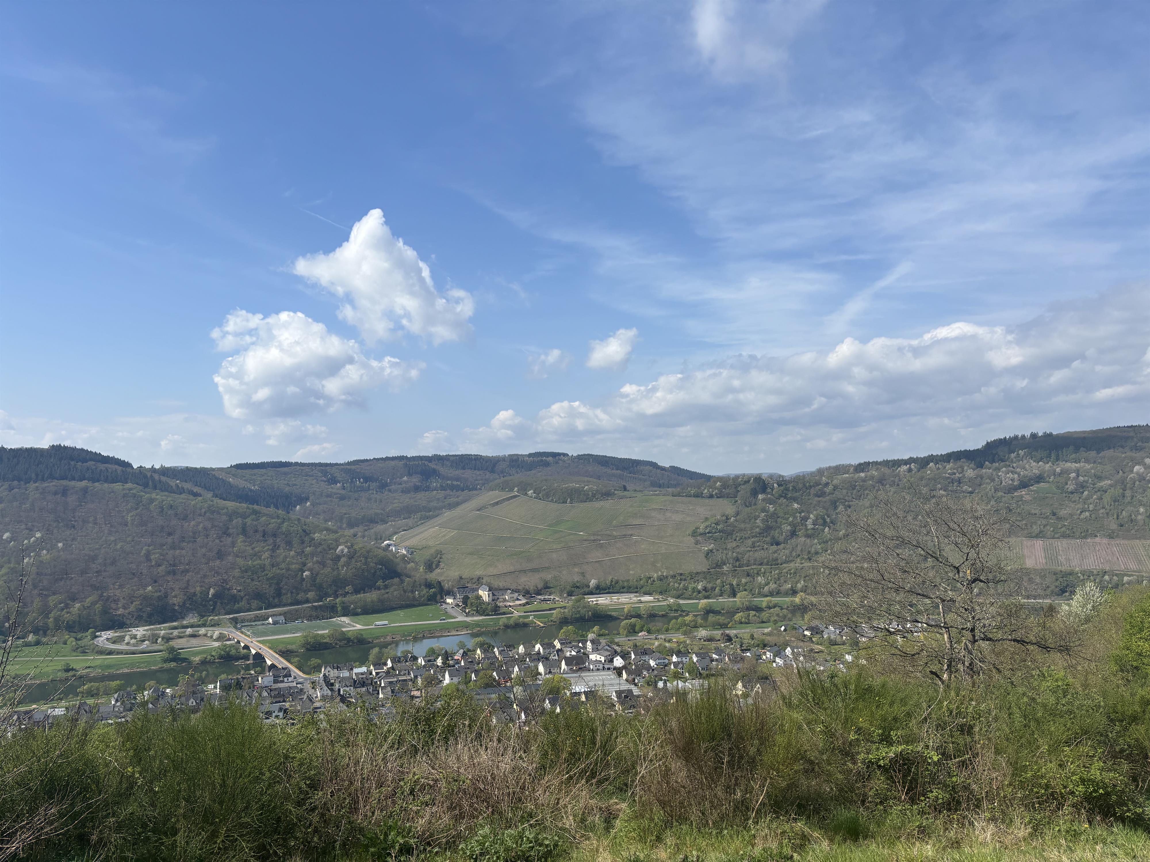 Ausblick auf Kloster Machern