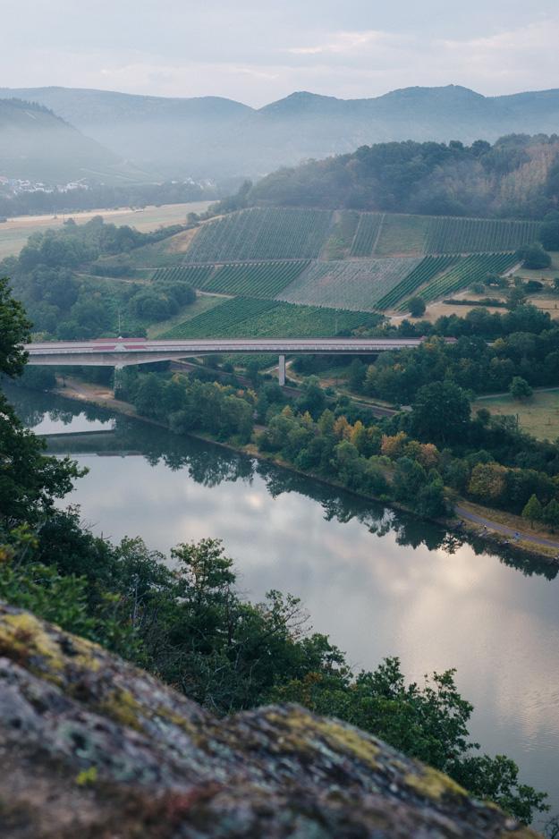 Weingut Peter Lauer Ayl (04)
