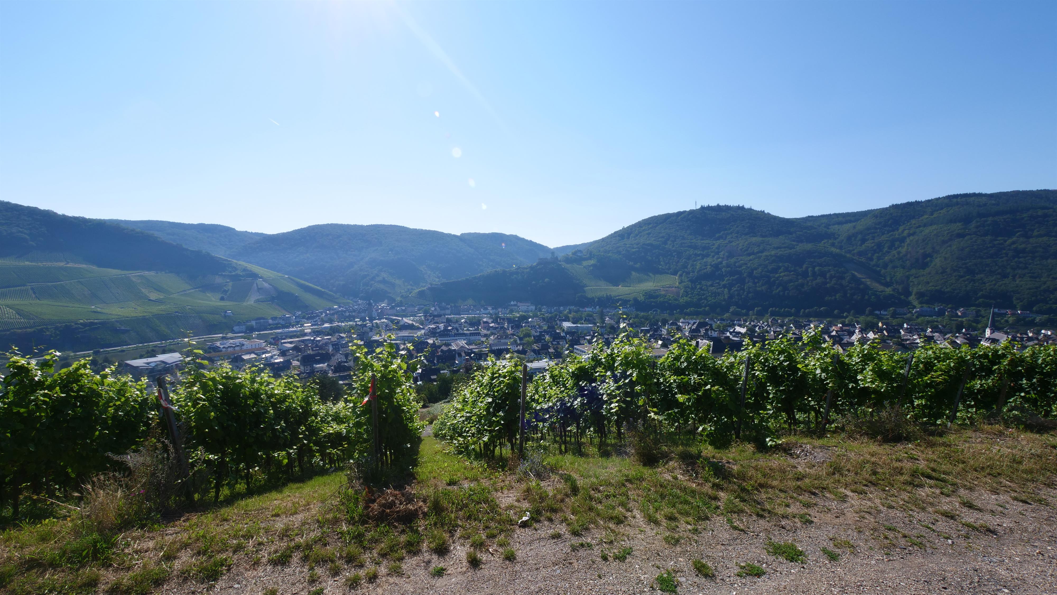 Aussicht Fierskapelle Bernkastel-Kues