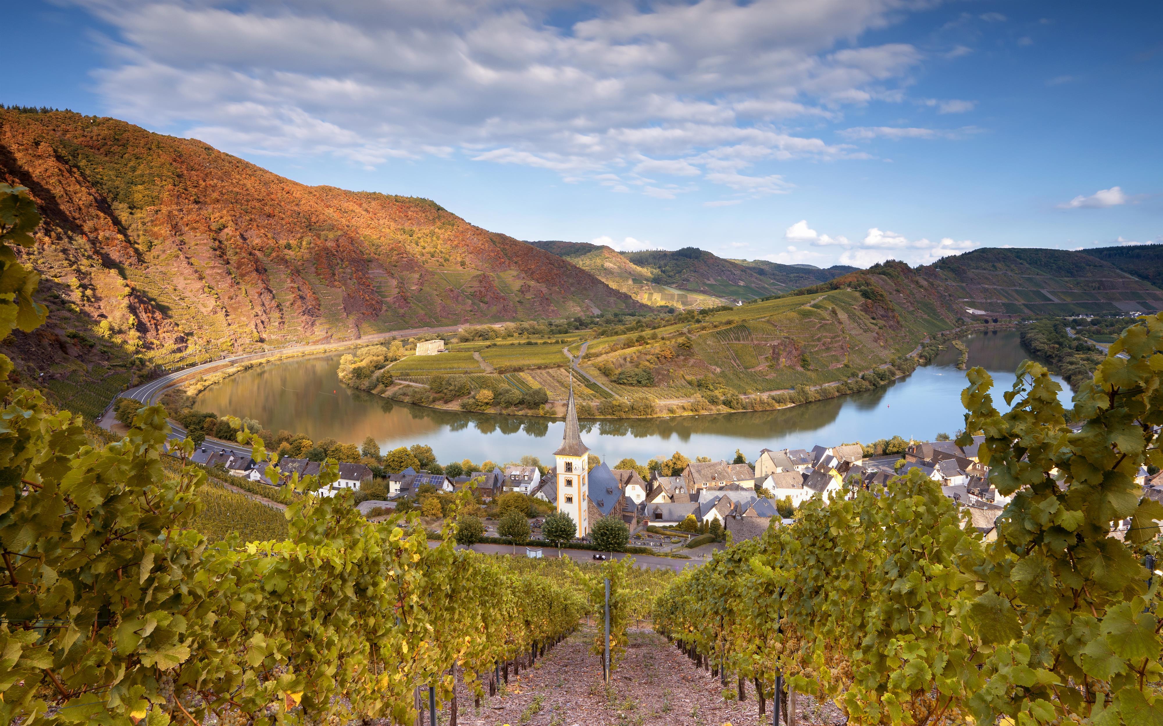 Kapitel 9.9 Mosel, Bremmer Calmont