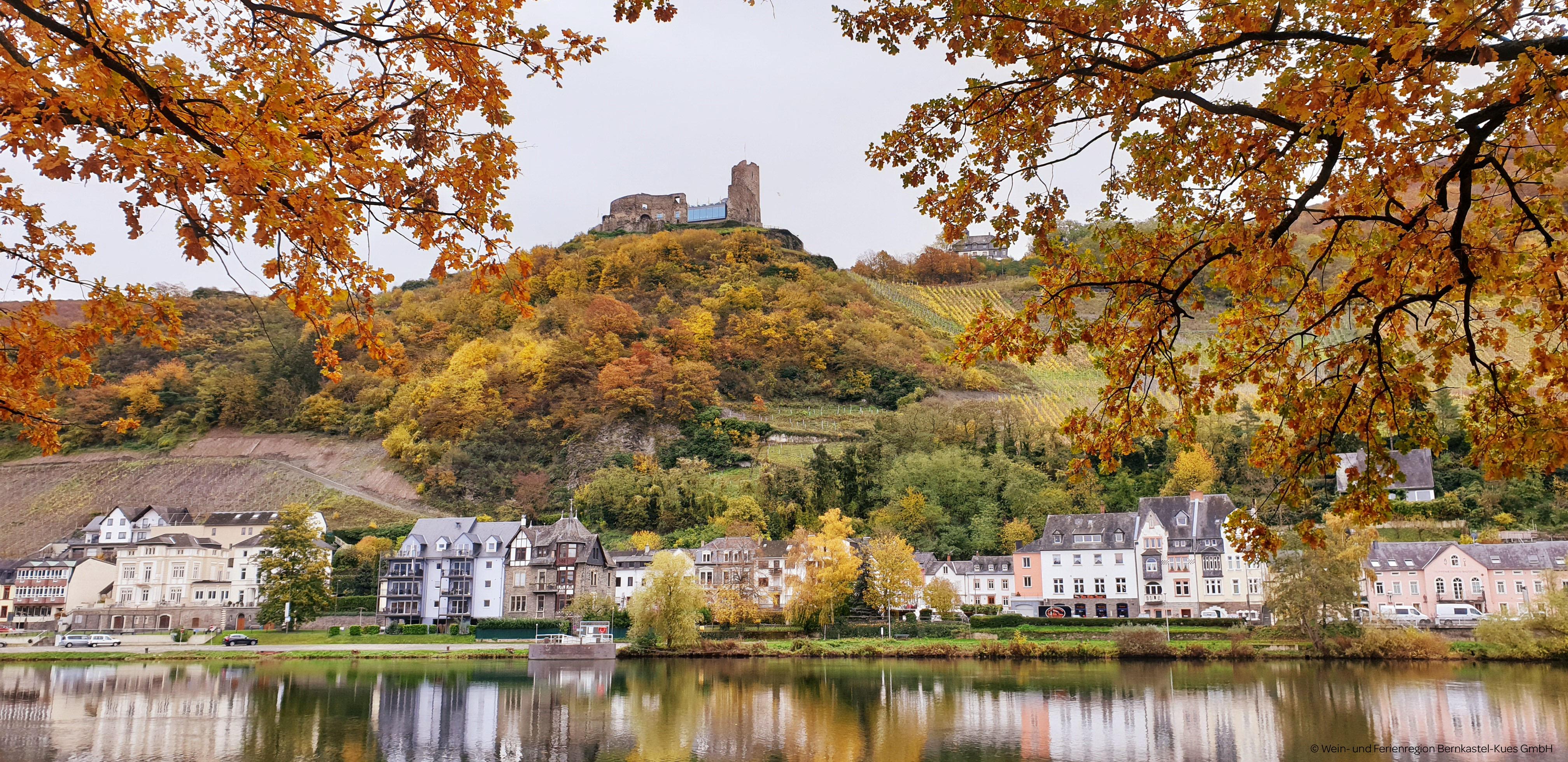 Landschaft_Mosel_Wald_Burg_Herbst_Bernkastel ©Wein
