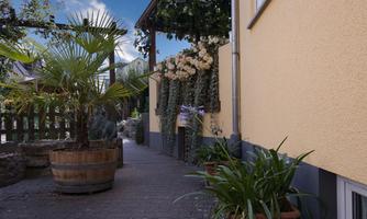 Zugang zum Garten