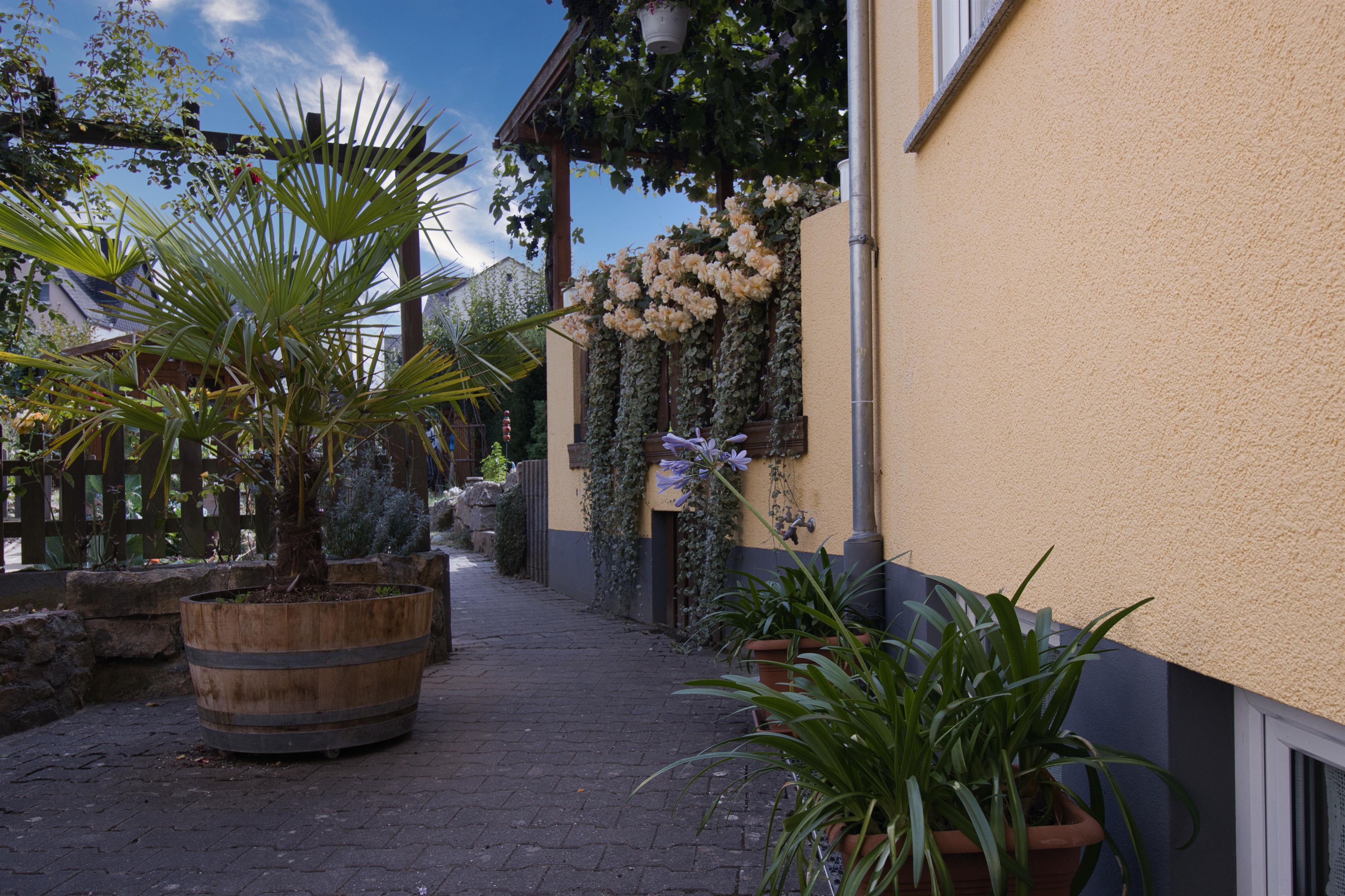 Zugang zum Garten