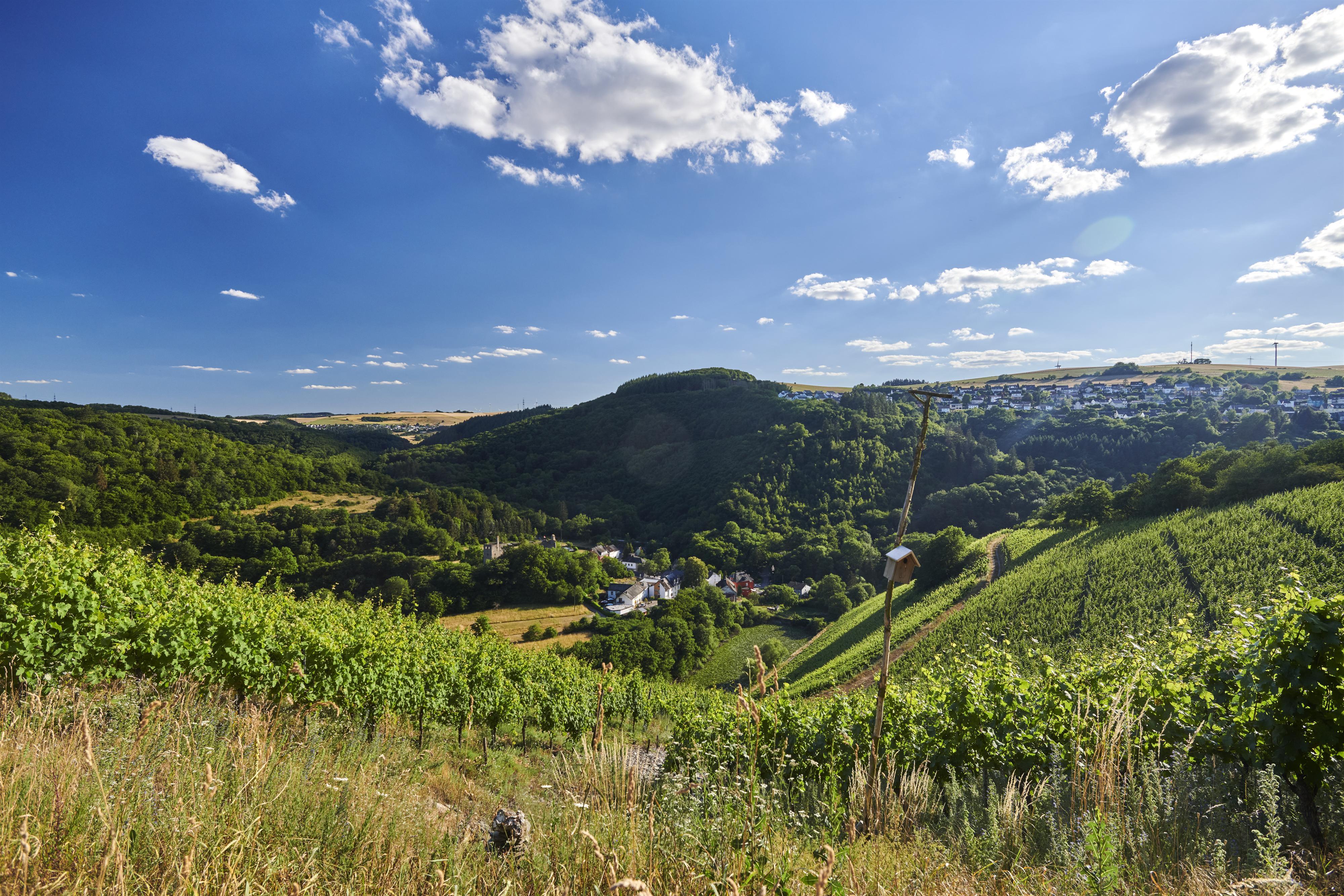Blick auf Sommerau