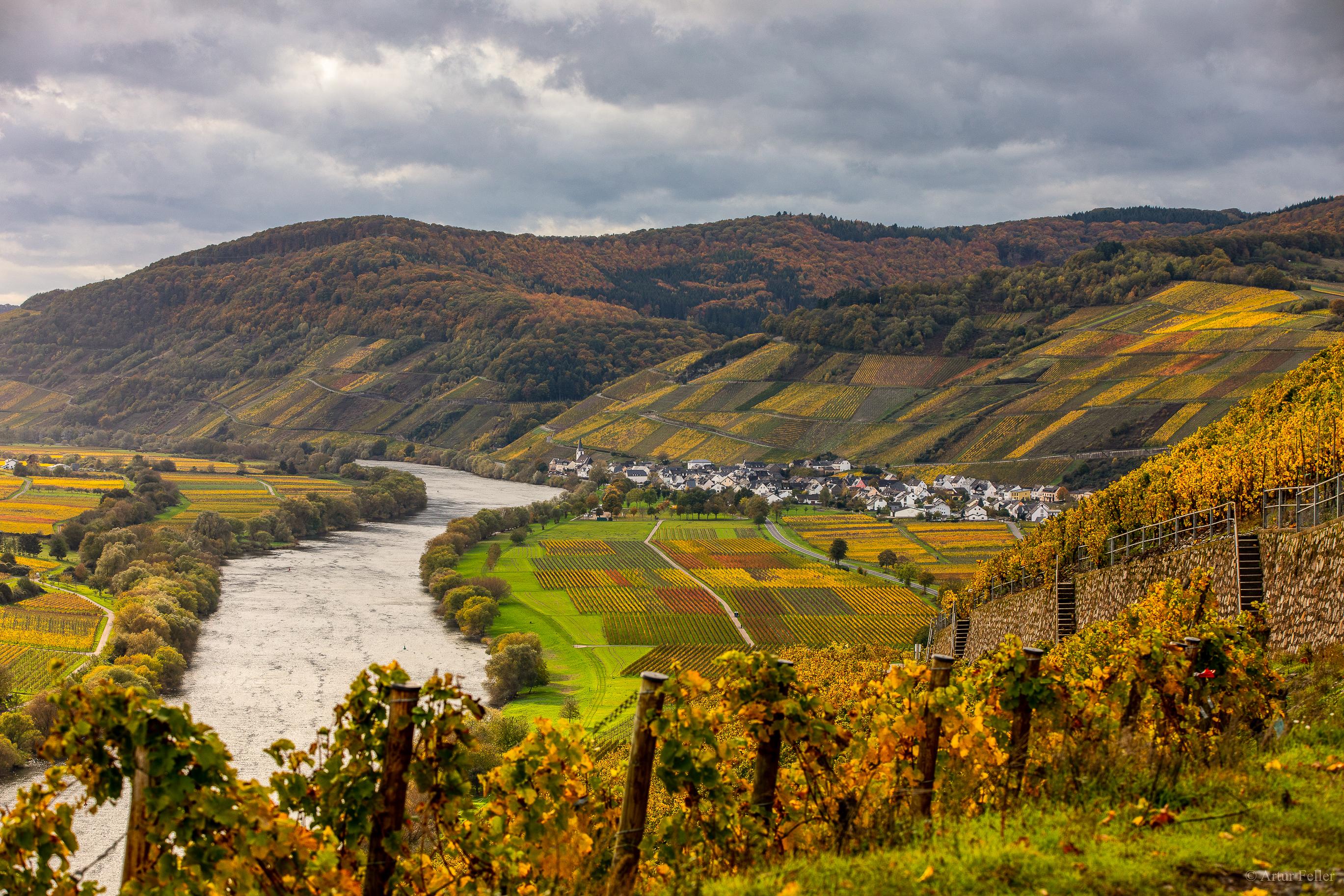 Hoffest in Kesten an der Mosel