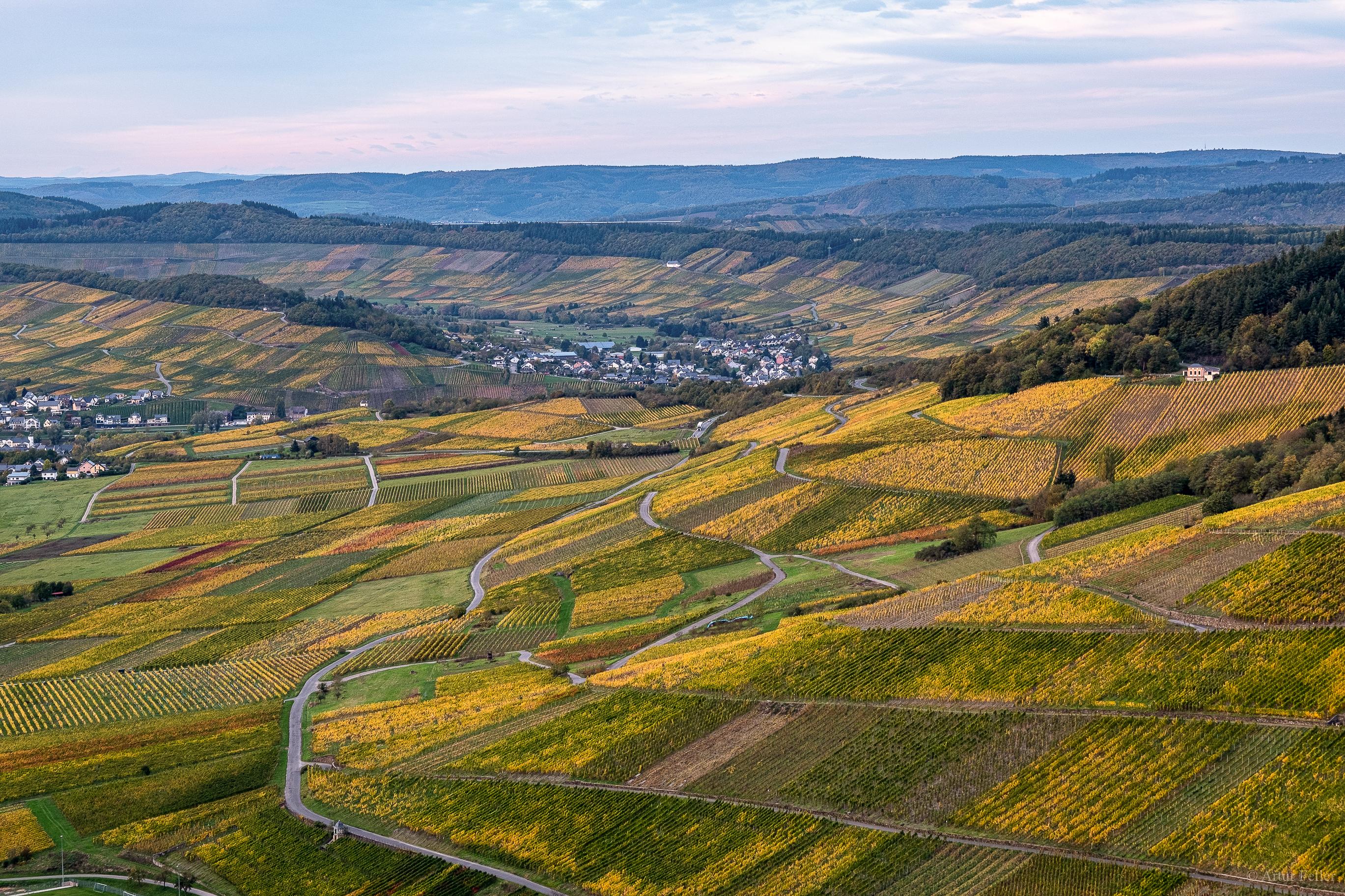Weinort Lieser an der Mosel