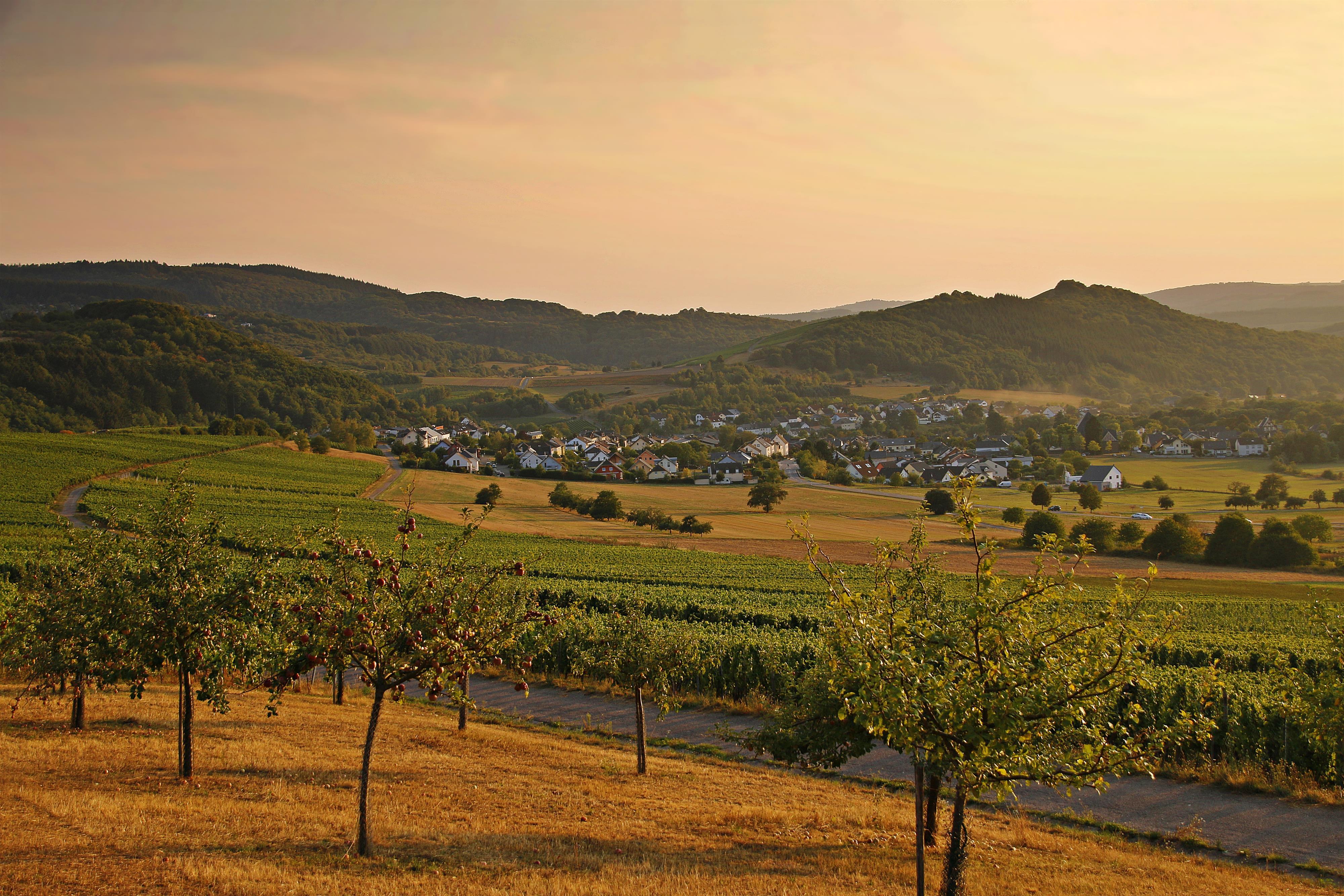 Blick auf Oberemmel