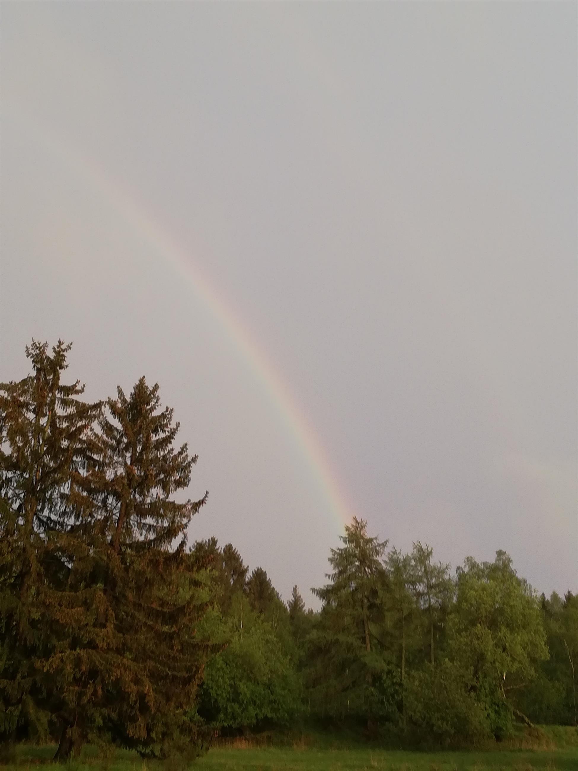Regenbogen in Neuh