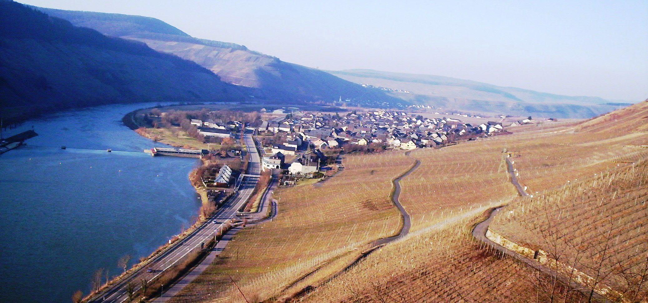 Wintrich