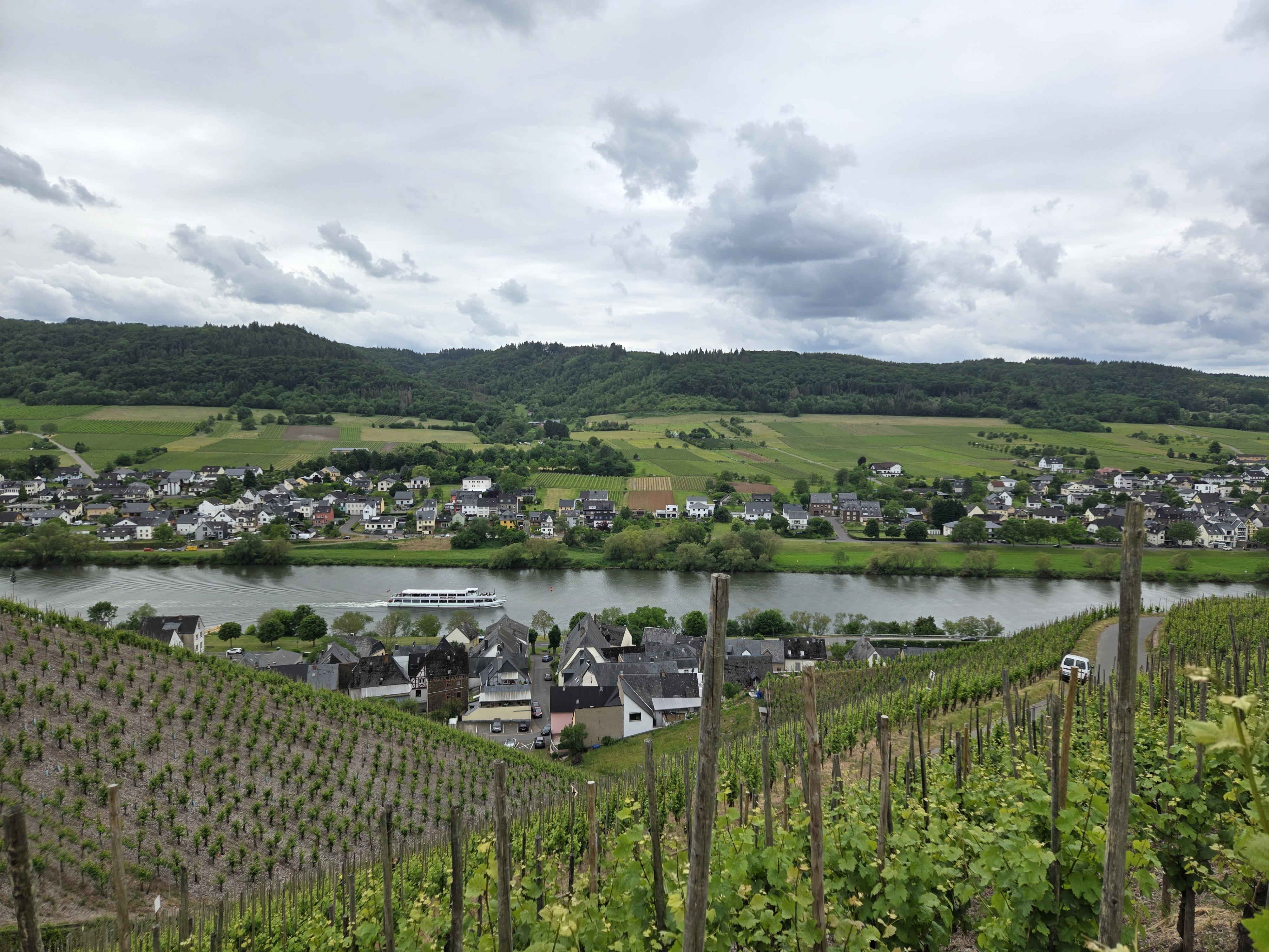 Moselblick Kinheim