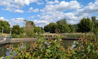 Herbal walk: ‘Flowers, seeds and fruits’