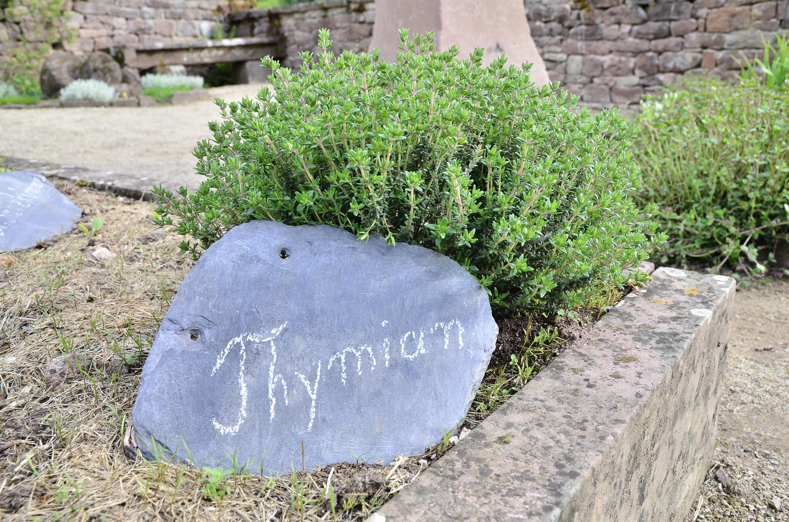 Kräutergarten Schloss Malberg