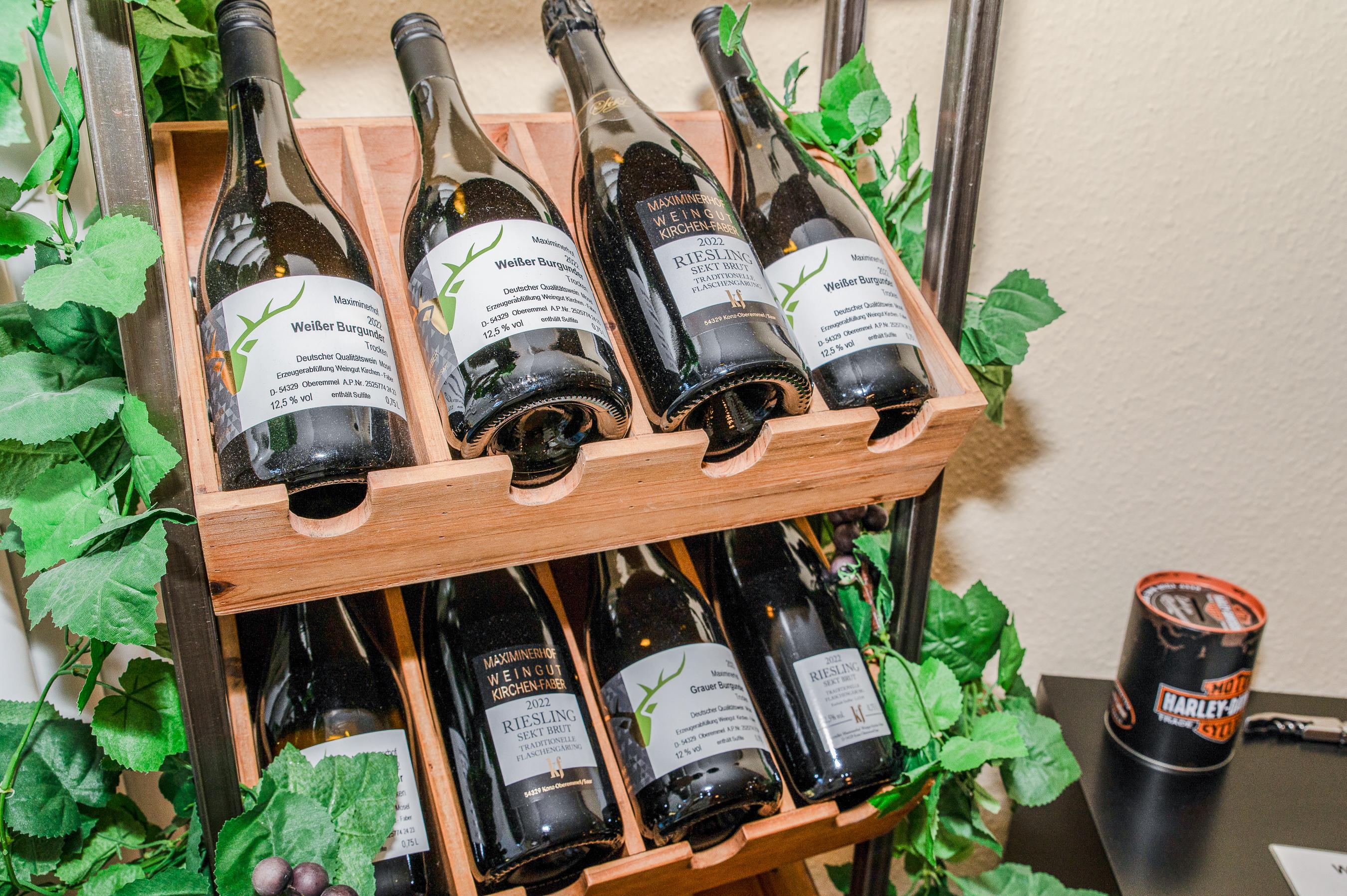 Fewo Saar-Steg Saarburg (06)