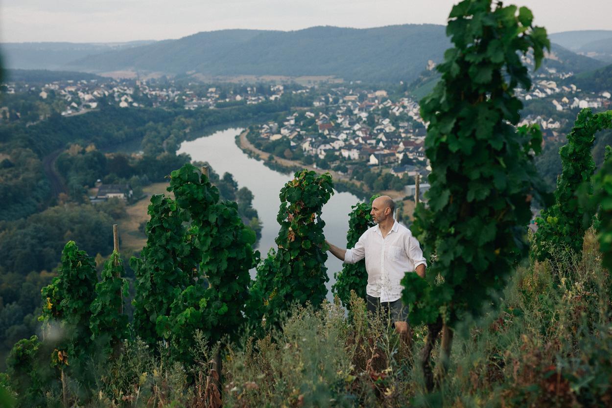 Weingut Peter Lauer Ayl (02)