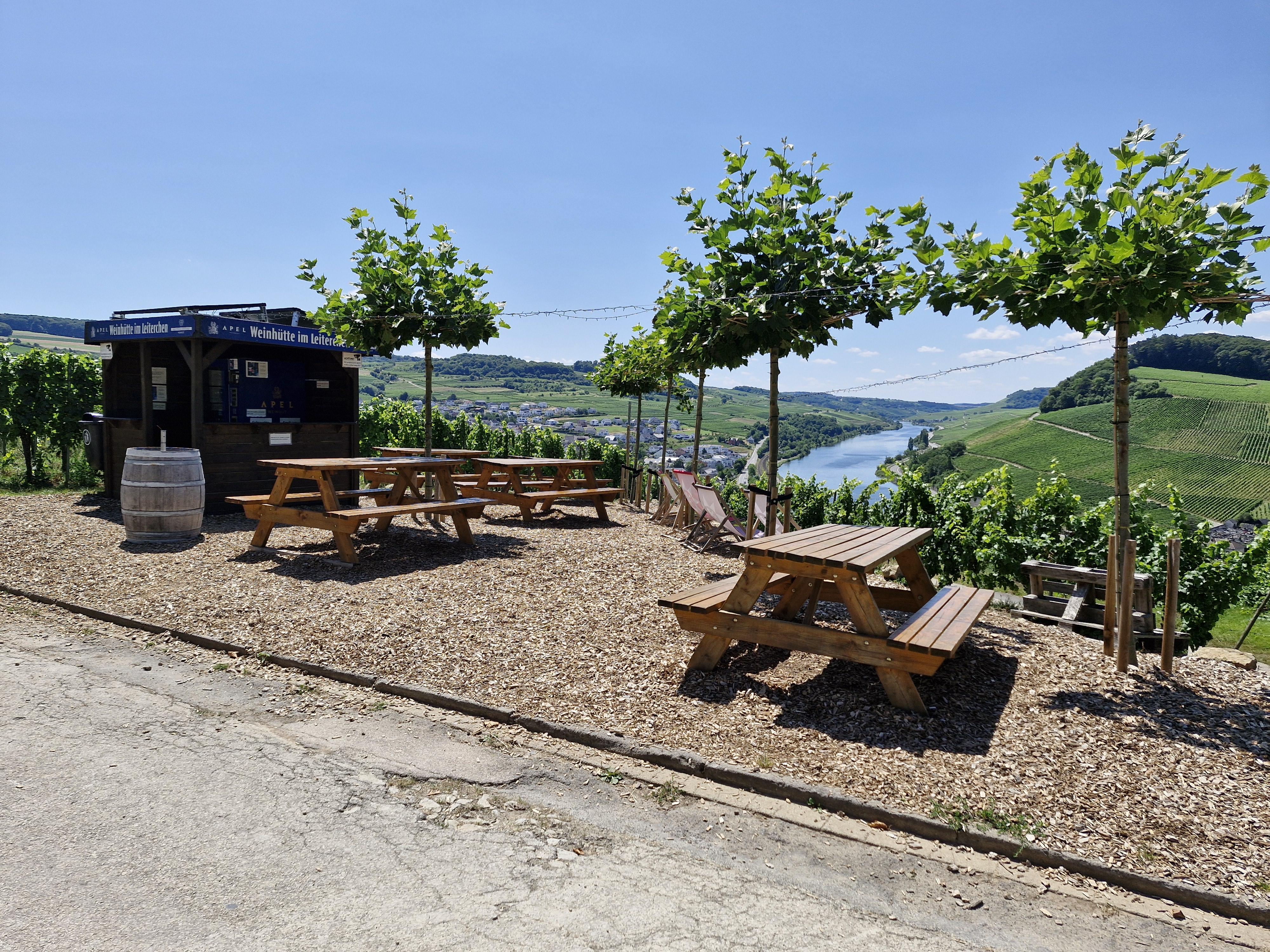 Weinhütte im Leiterchen Nittel (05)