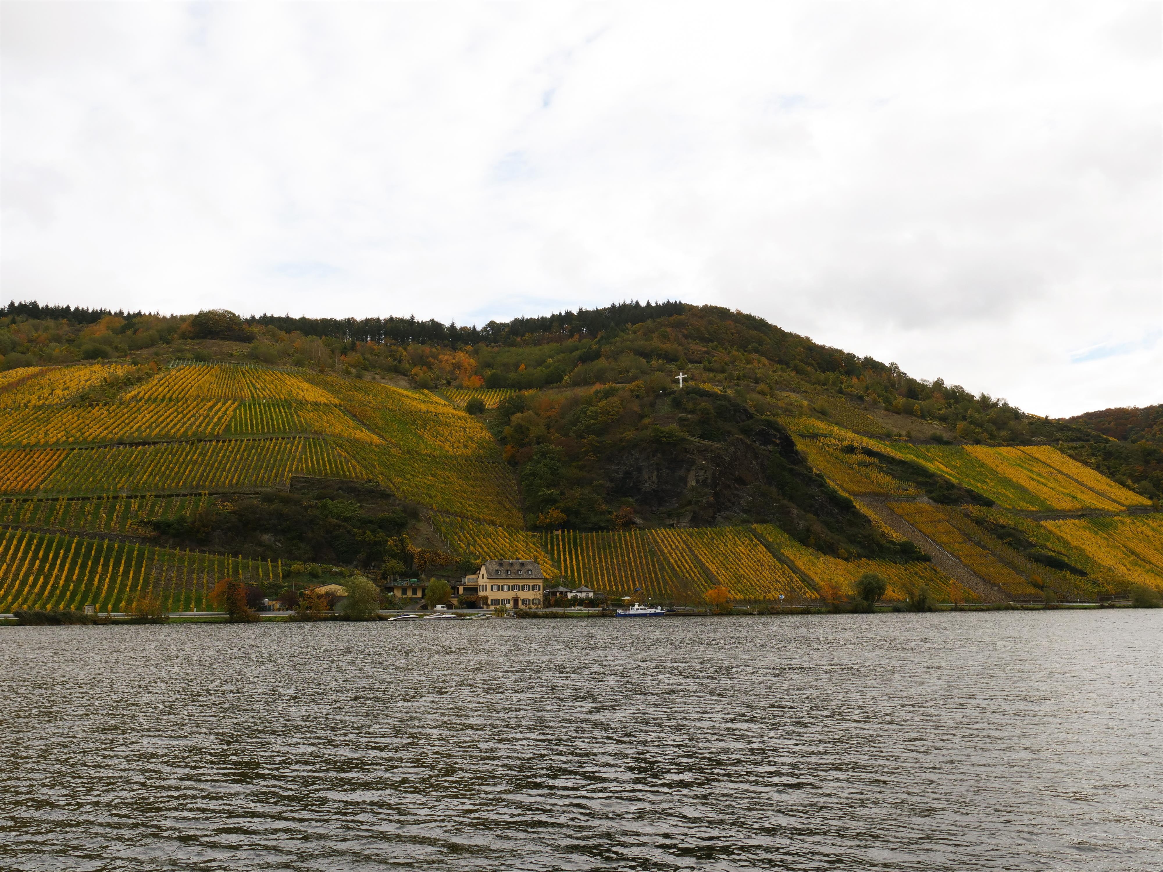 Weinberge Großer Herrgott