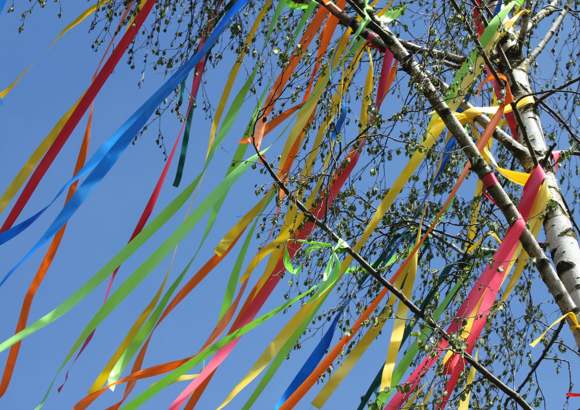 Maibaum