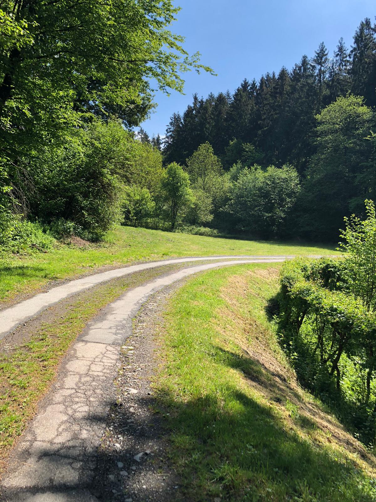 Osburger Hochwald