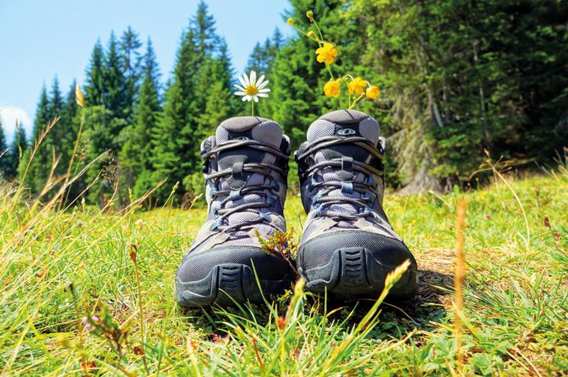 Wanderwoche Südeifel
