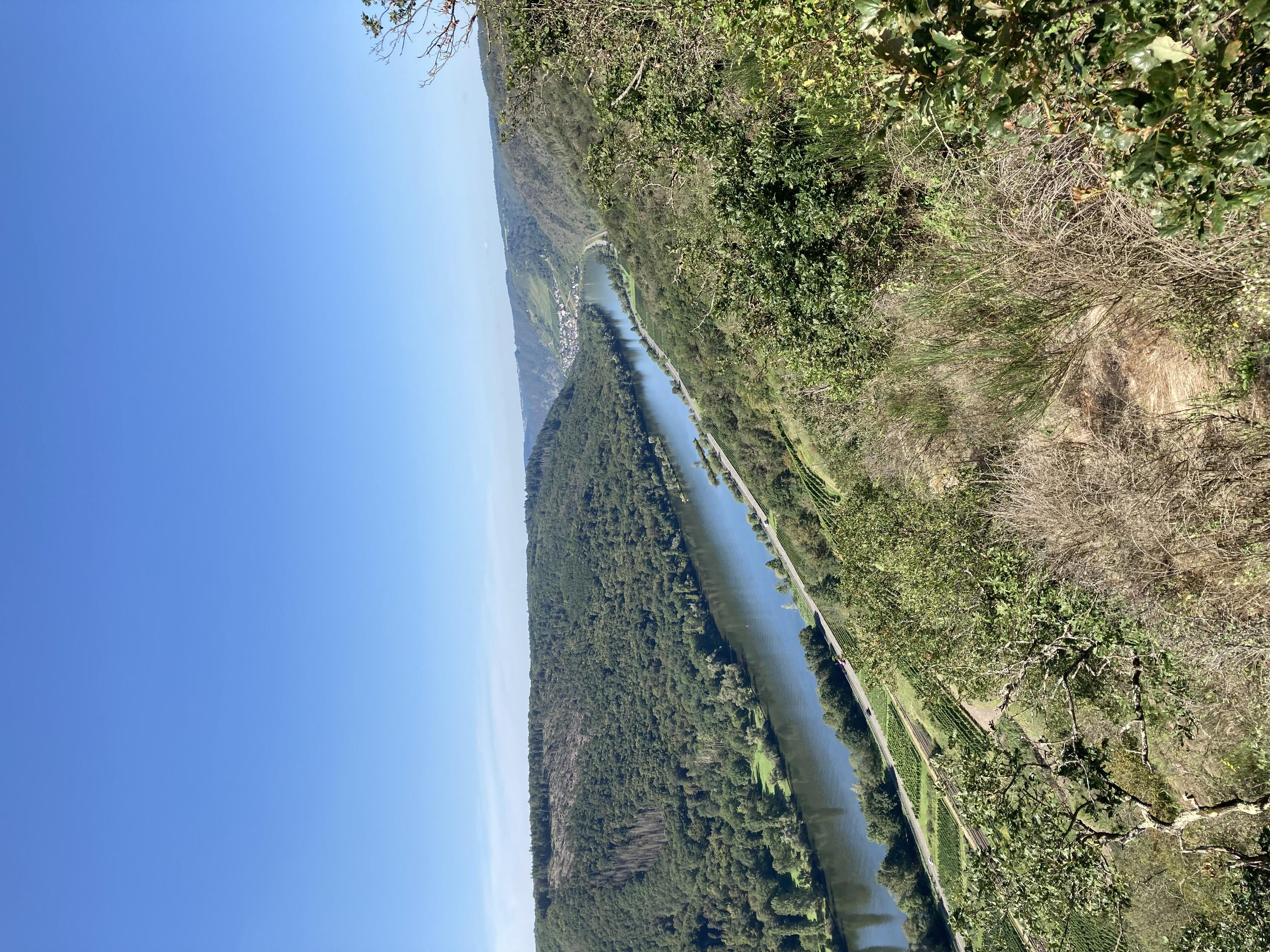 IMG_0690 2