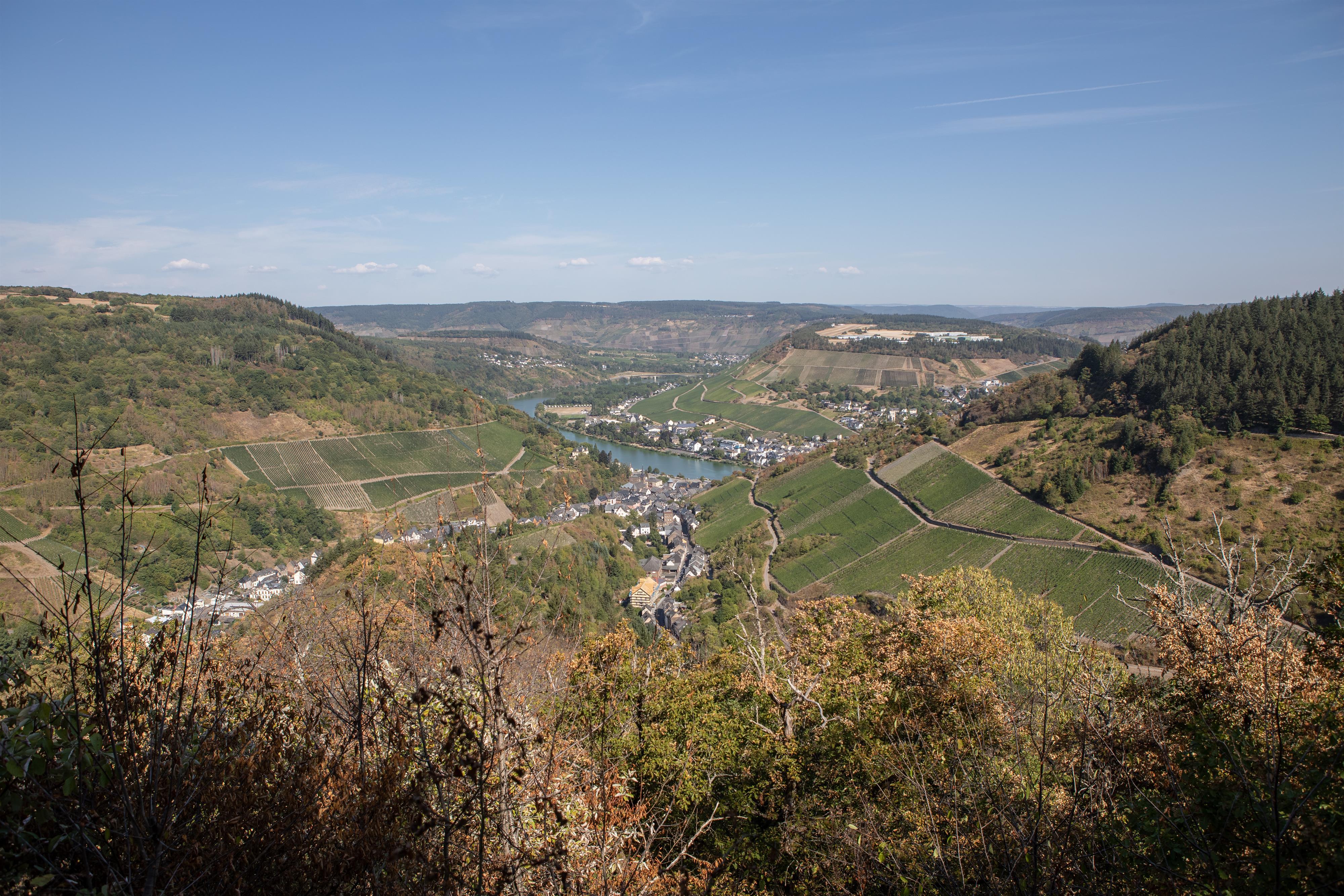 Aussicht