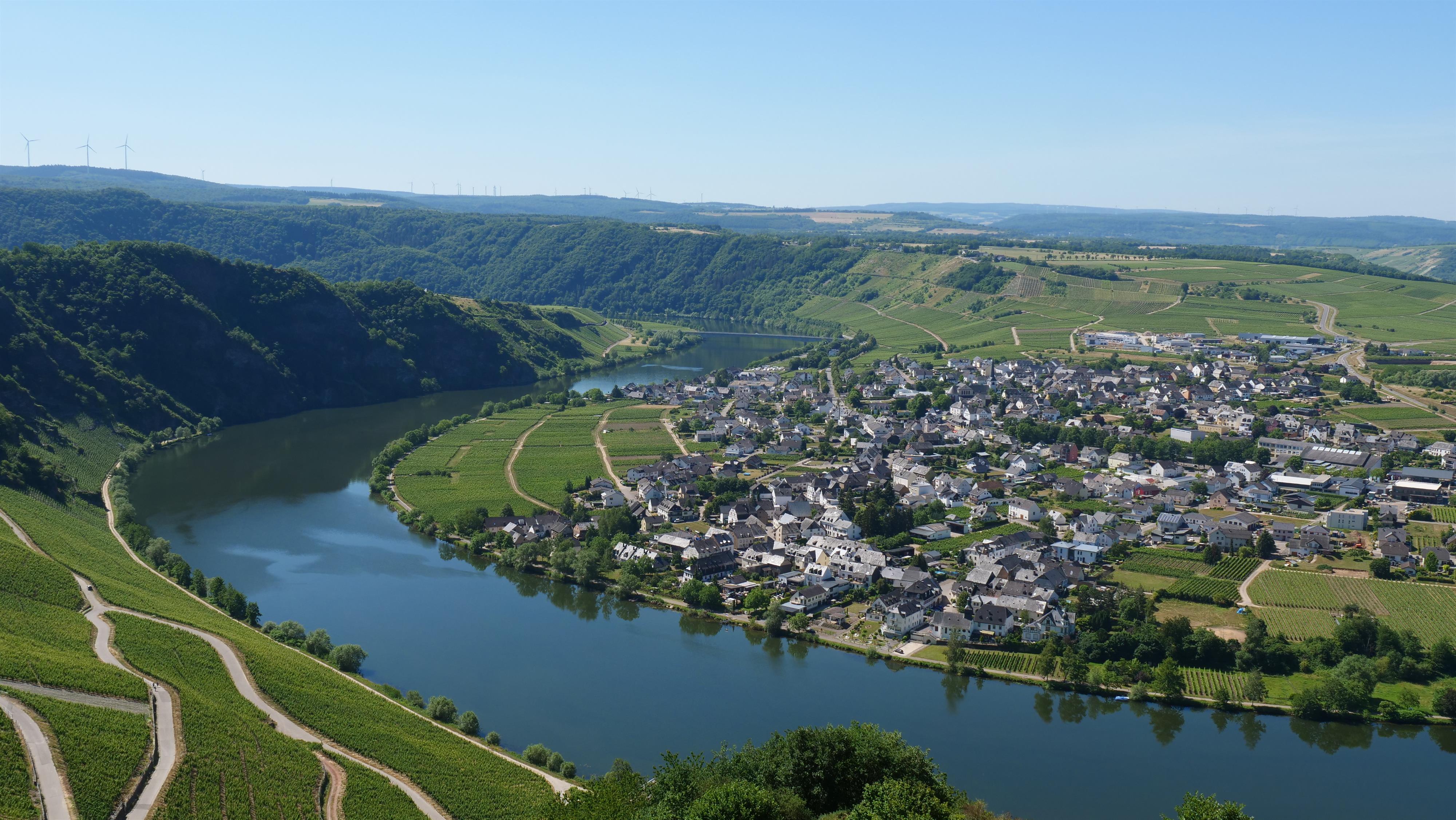 Ausblick auf Piesport