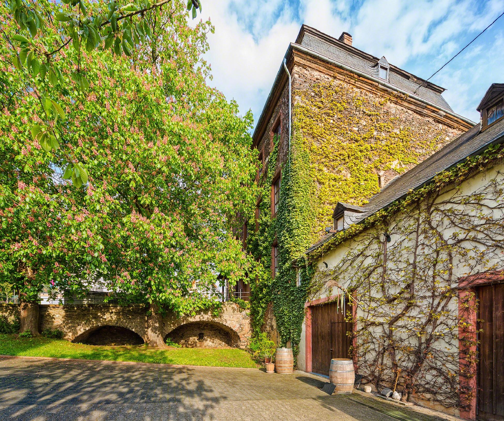 Weingut
