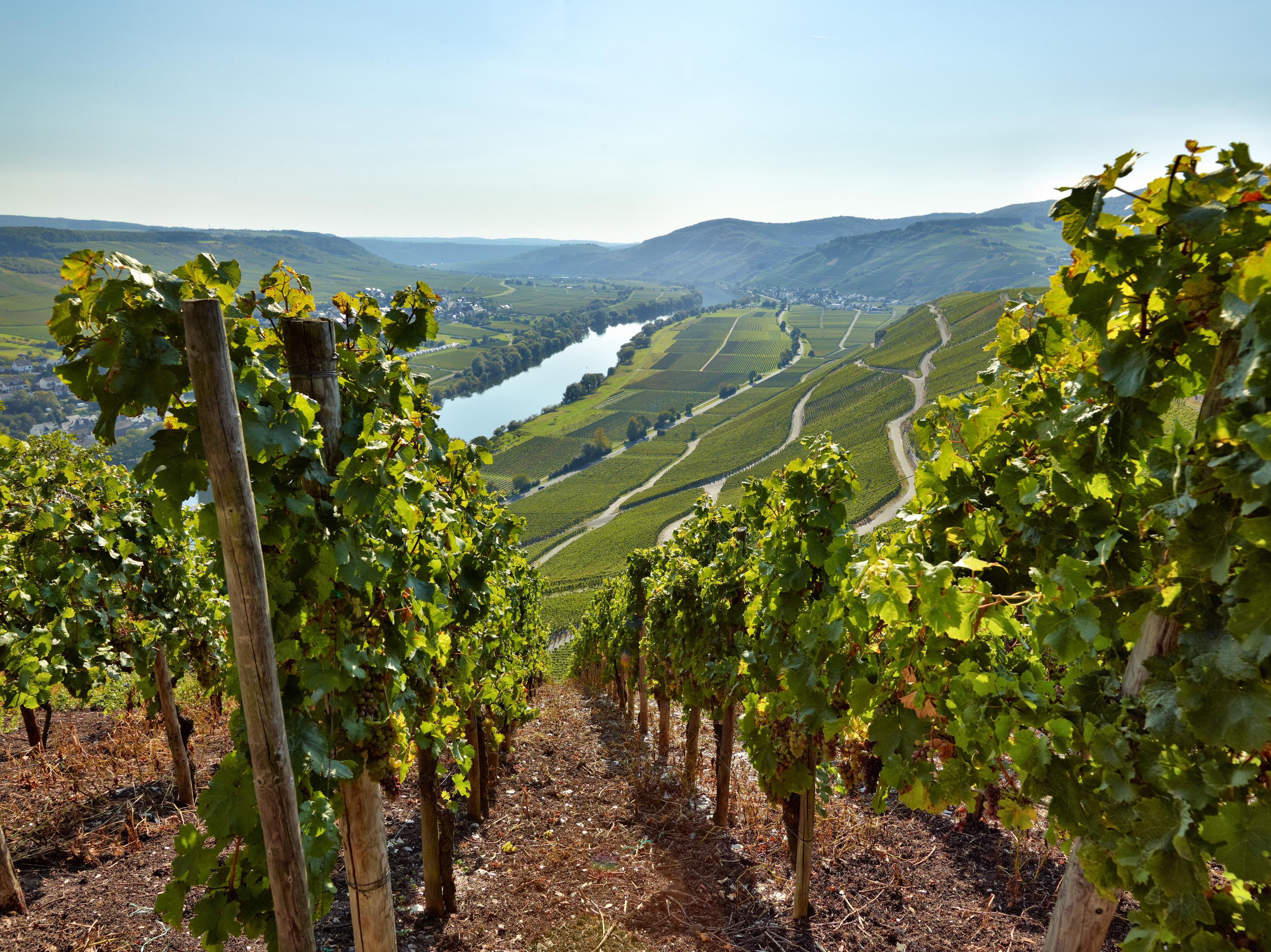 Weinhöfefest im Moselort Kesten