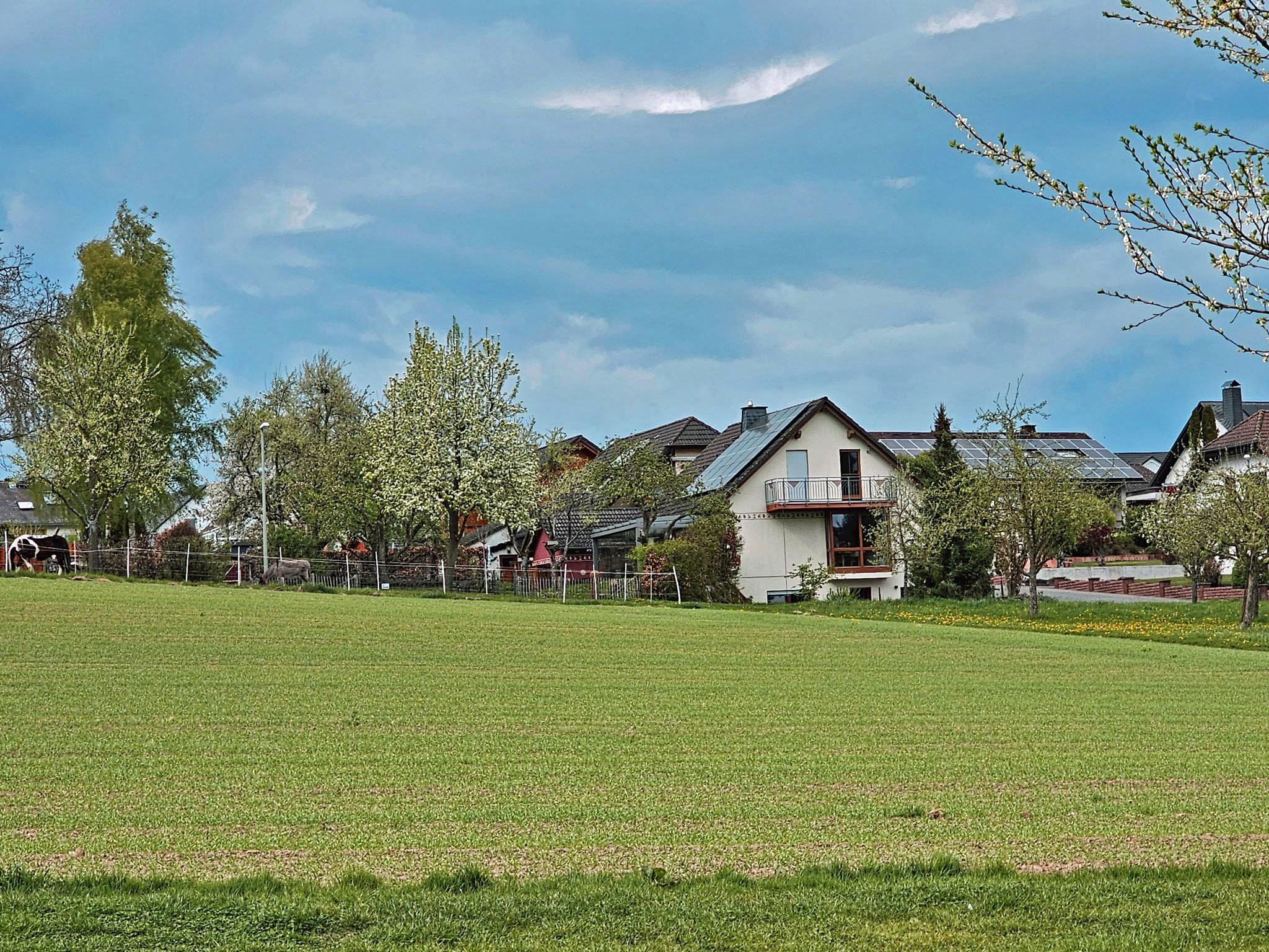 von Feld