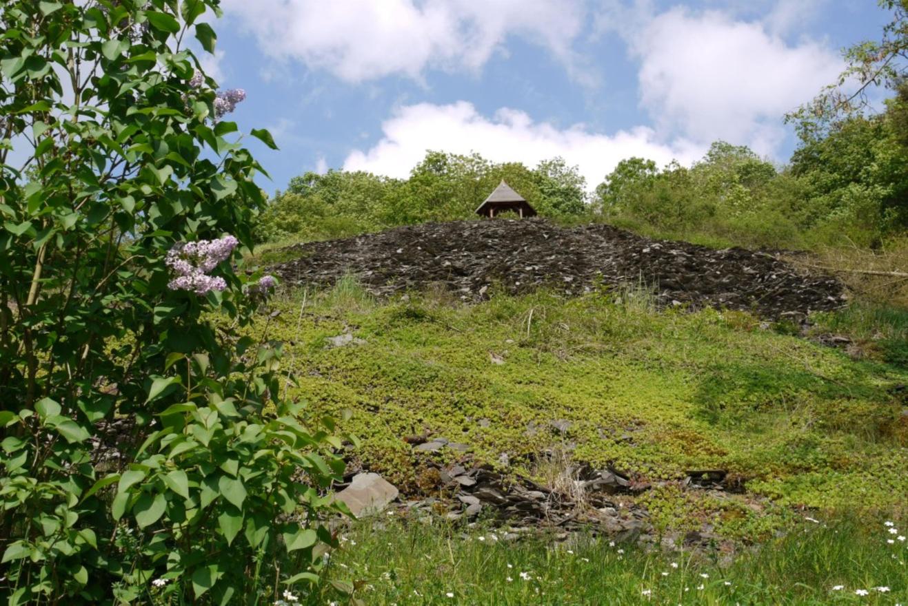 Pavillon am Katzenkopp – Rast mit Aussicht