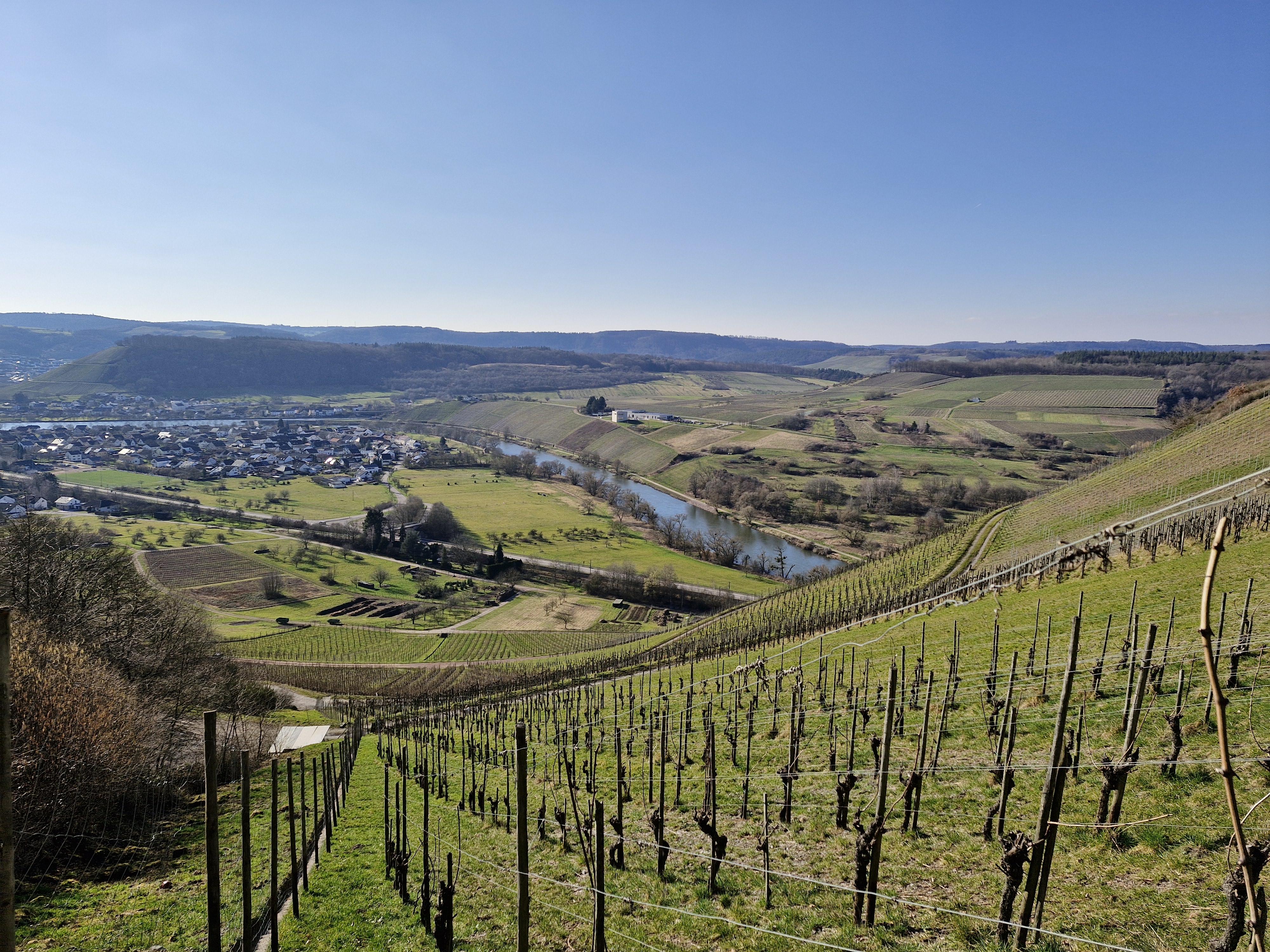 Herrenberg Schoden