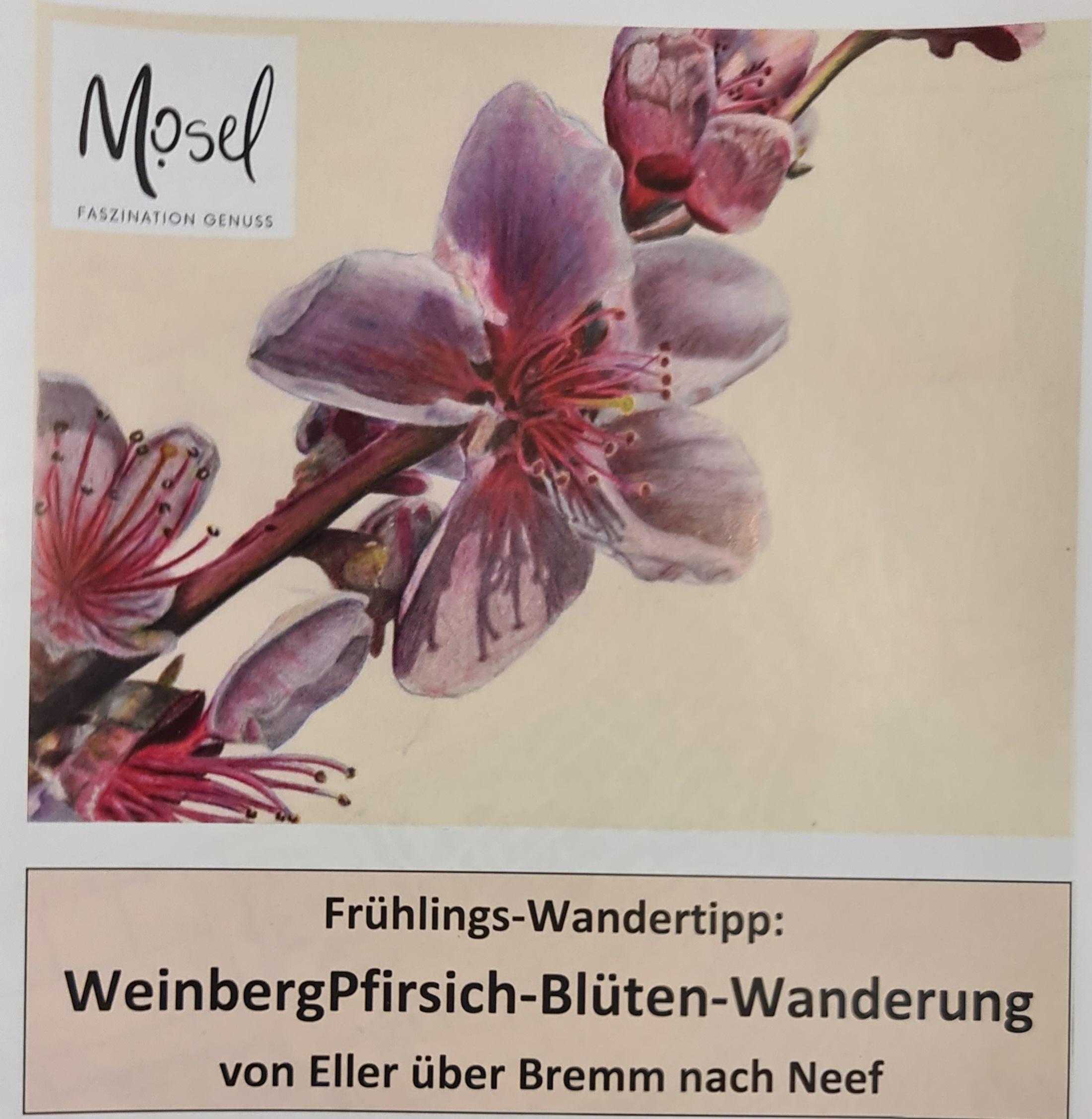ErlebnisRundwanderung 1
