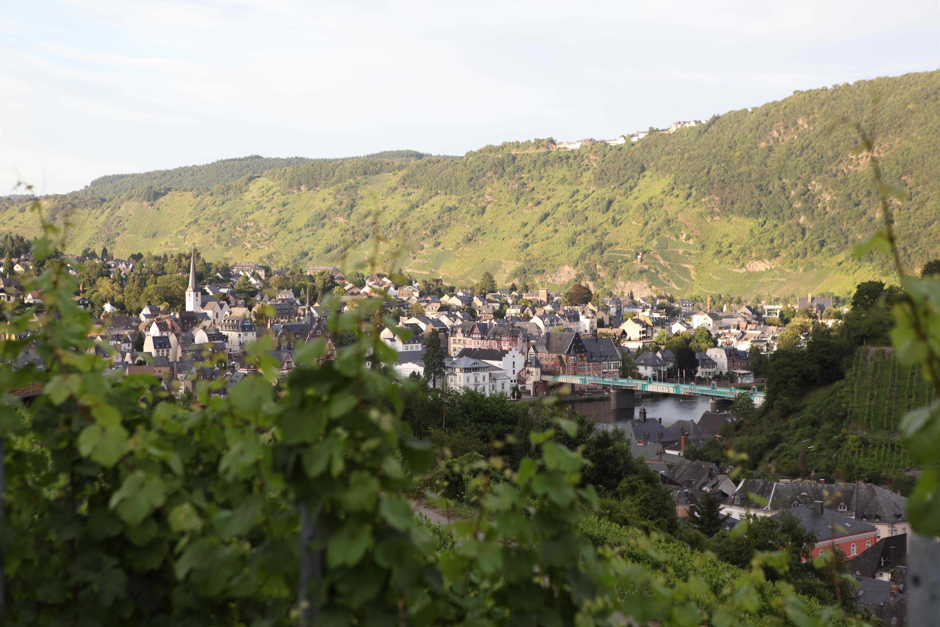 Aussicht auf Traben-Trarbach