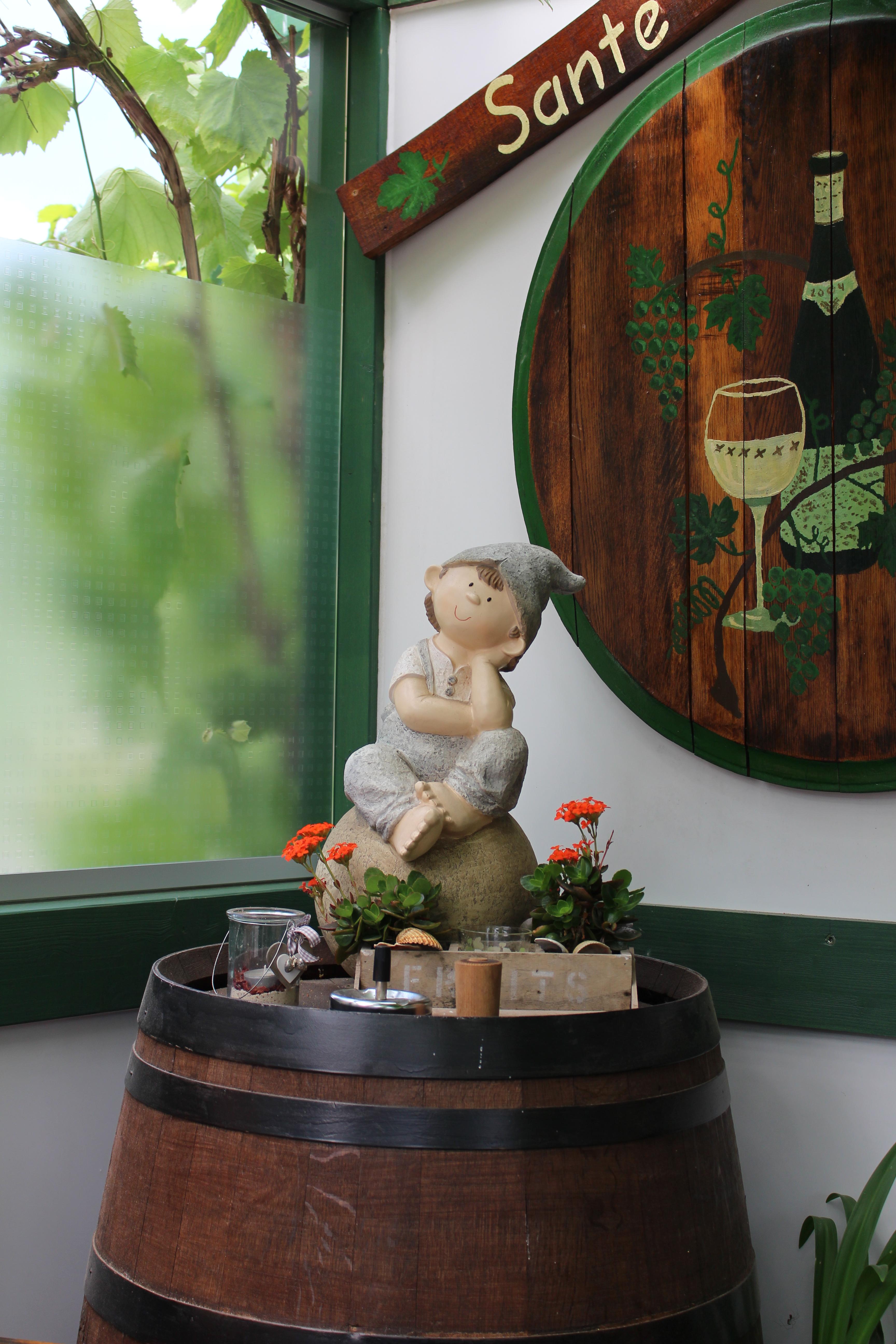 Blick in die Weinlaube