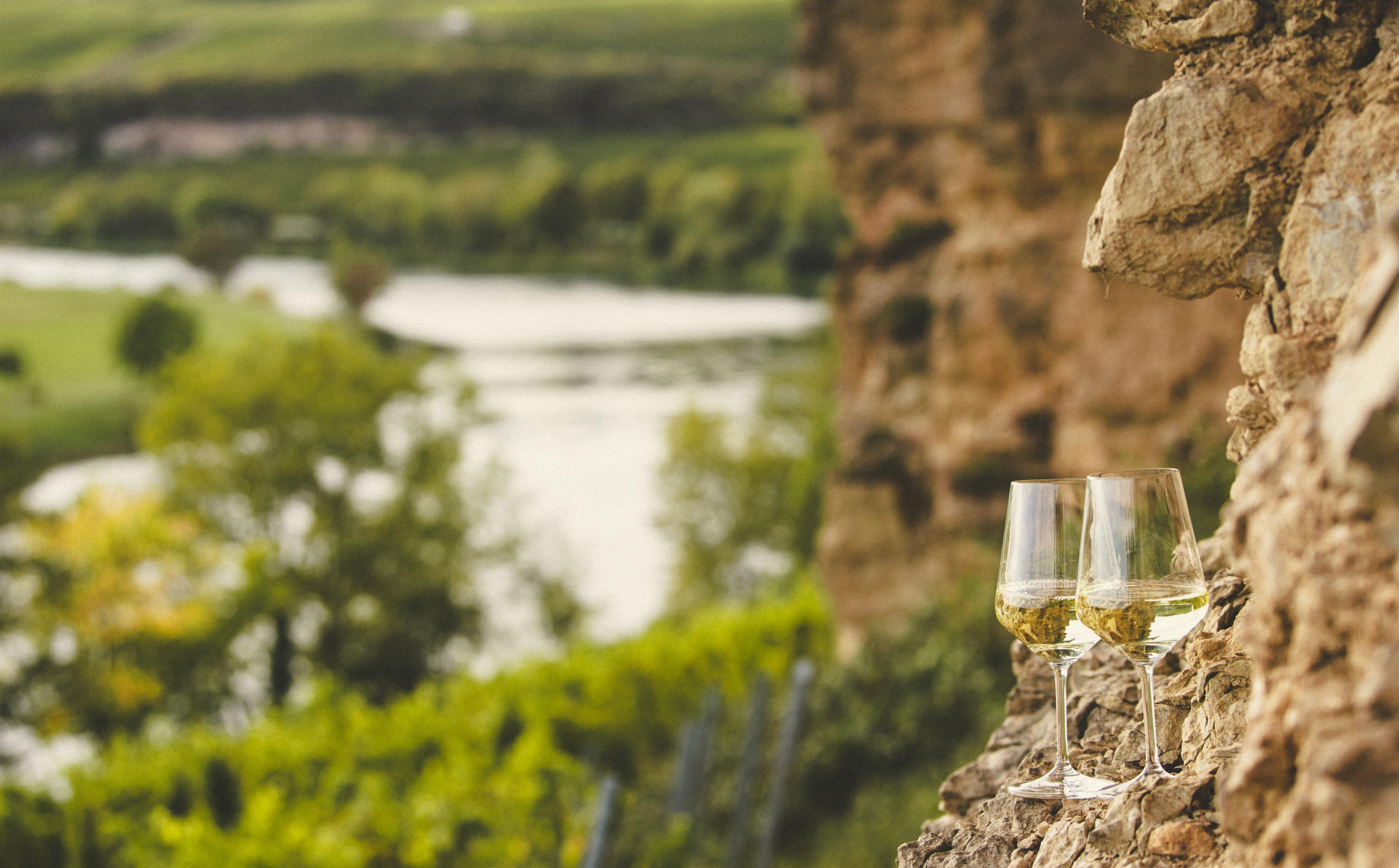 Wijnwandeling door de wijngaarden van de zuidelijke Moezel 25.04.2026 · Palzem