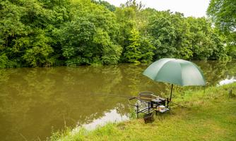 Angeln direkt an der Lahn