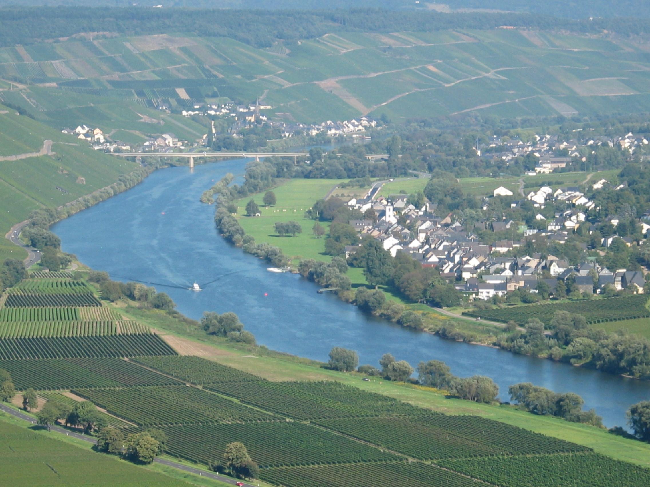Moselpanorama
