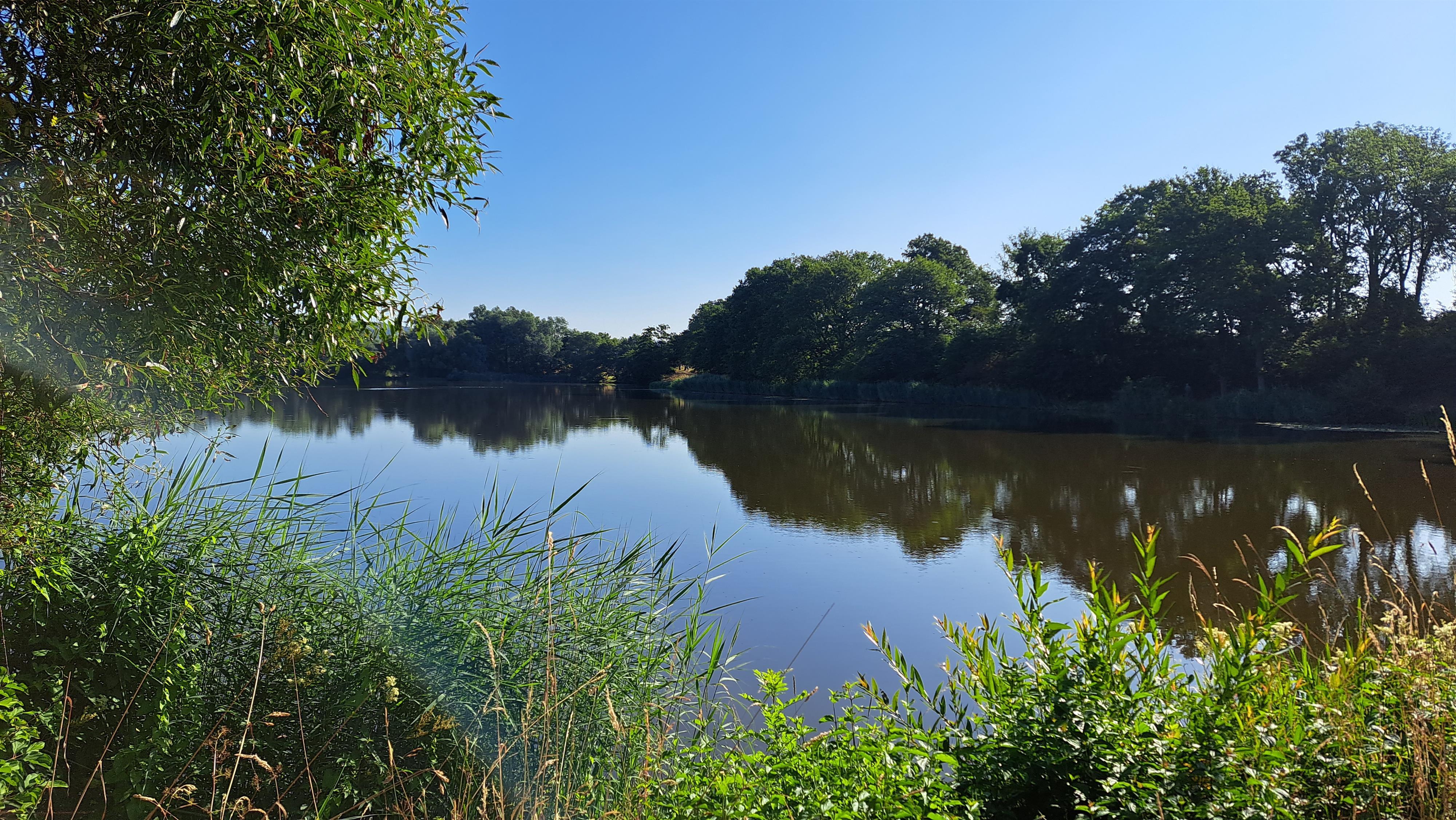 Sterenbachsee in Wittlich
