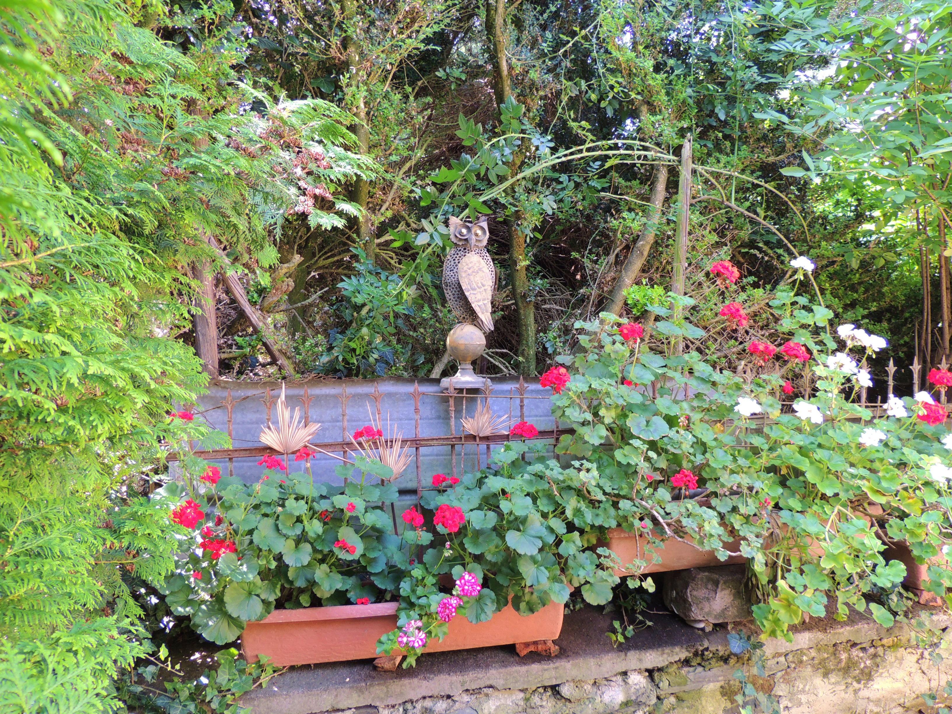 Pflanzen Terrasse