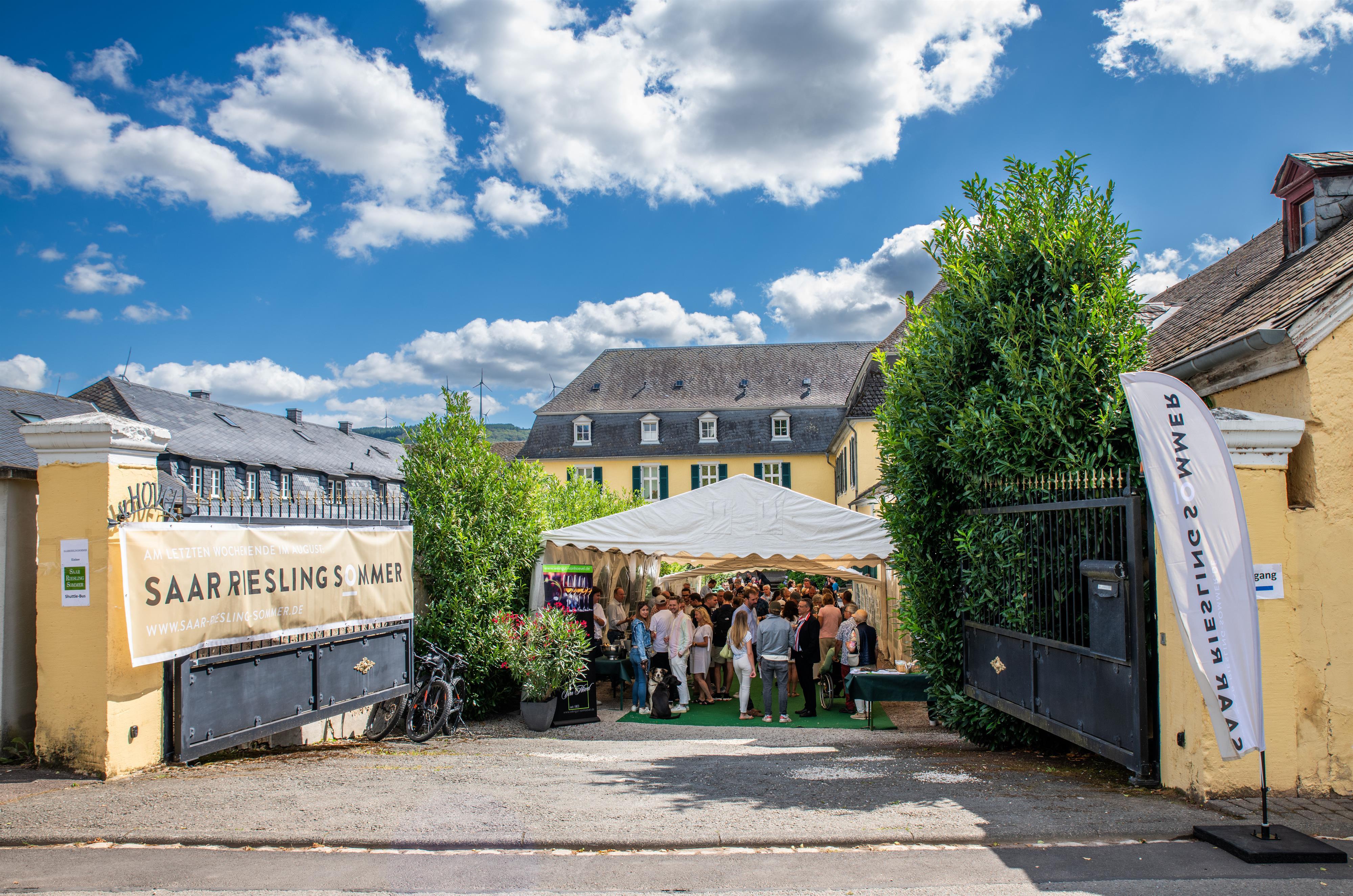 Saar Riesling Sommer (1)