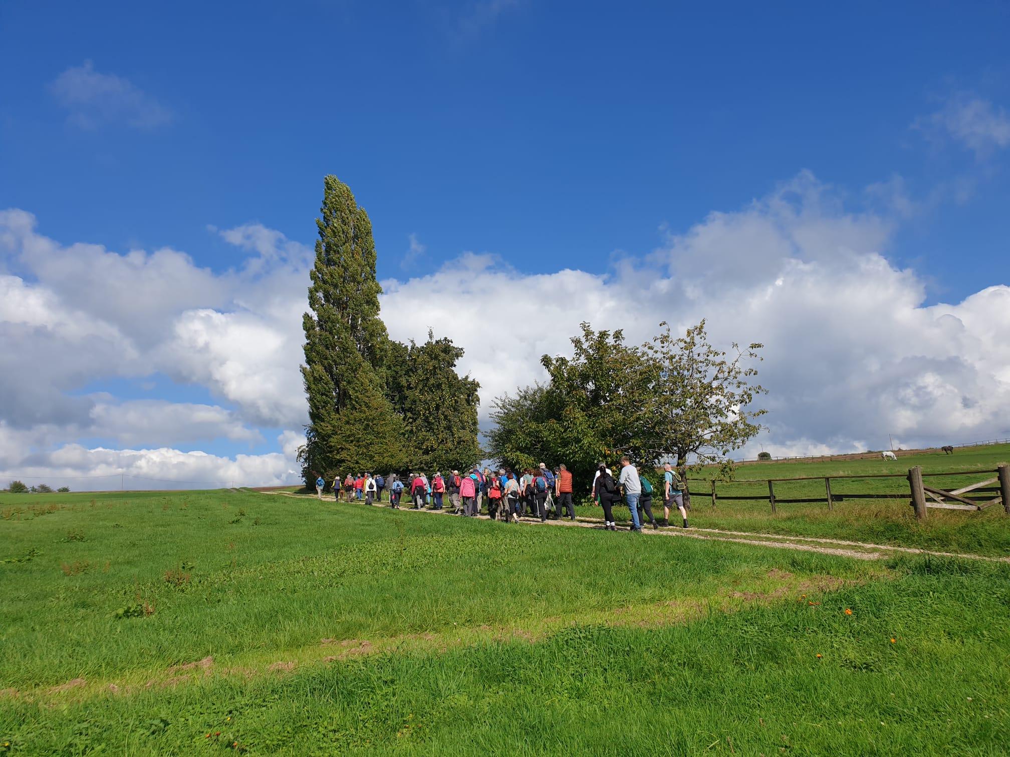 Wandern