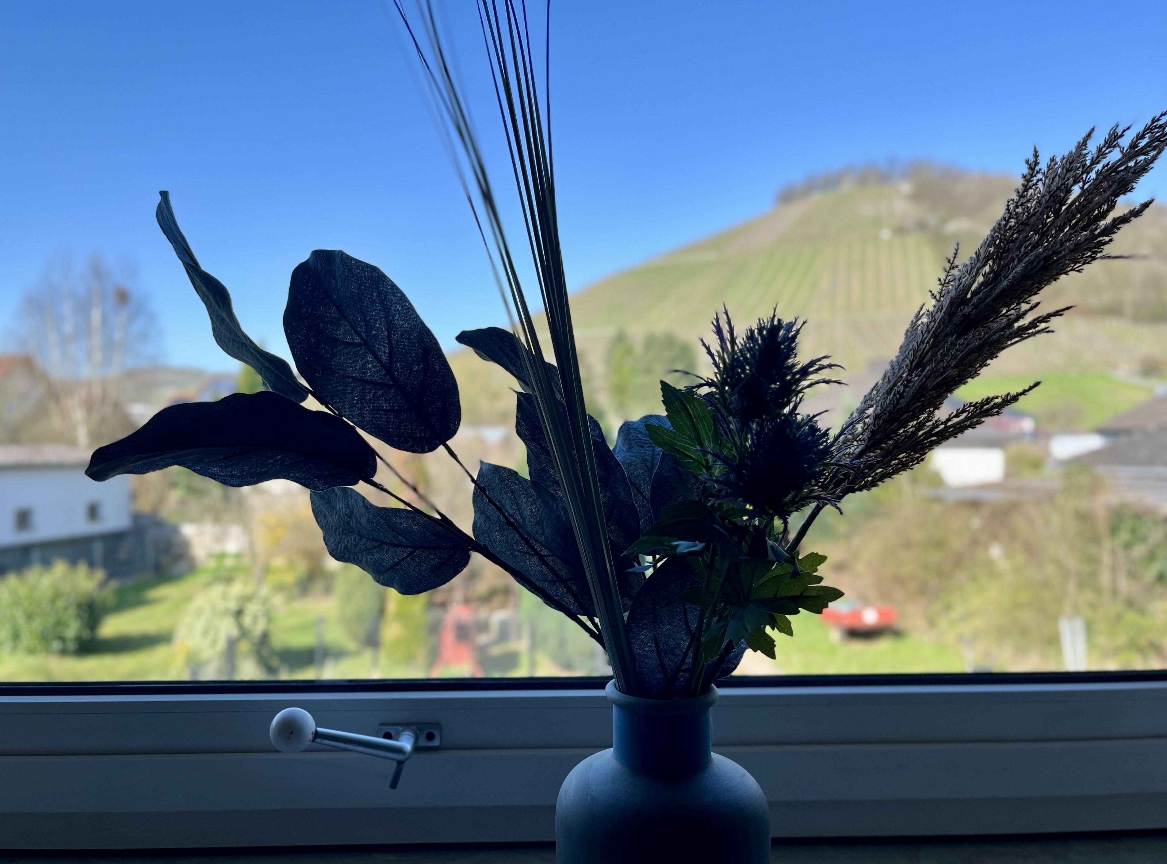 Ferienwohnung Weidentriesch (08)