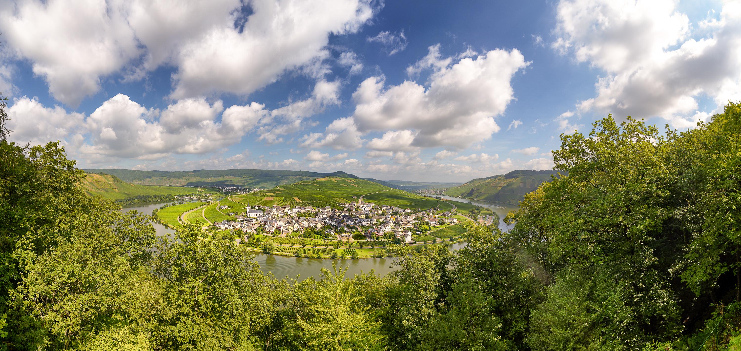 Weinort Minheim an der Mosel